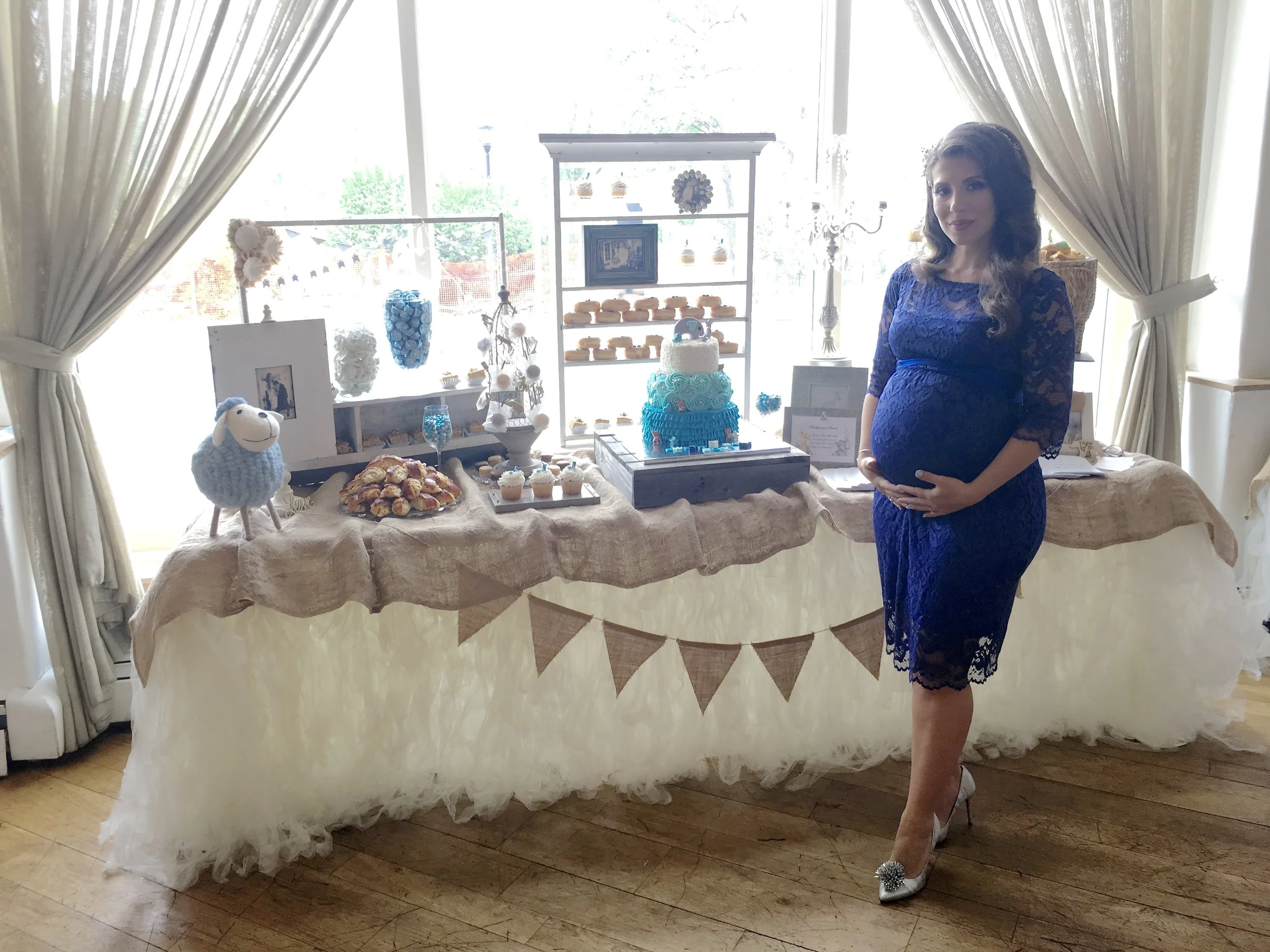 Baby Shower (Elena)