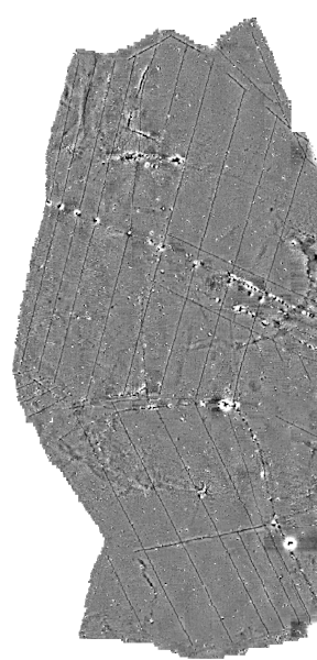 Magnetometry data showing the herringbone pattern created from buried land drains.