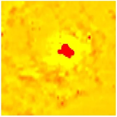 1. This image shows a strong magnetic anomaly (in red).