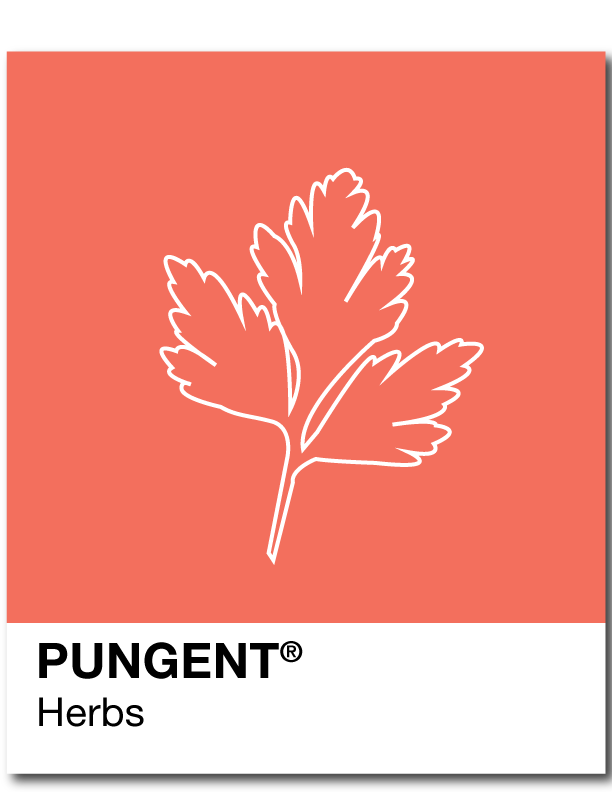 Mint gives a boost of pungency and fragrance 