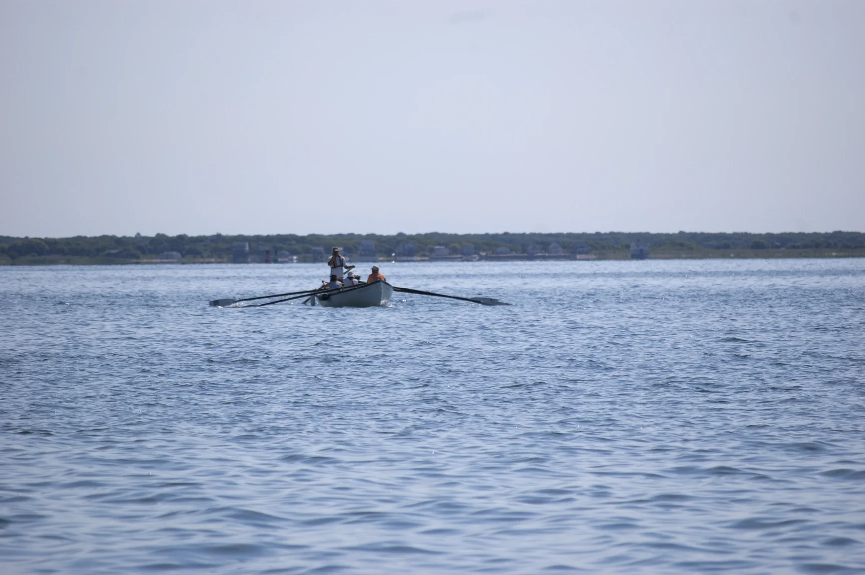 DSC_2975+.jpg