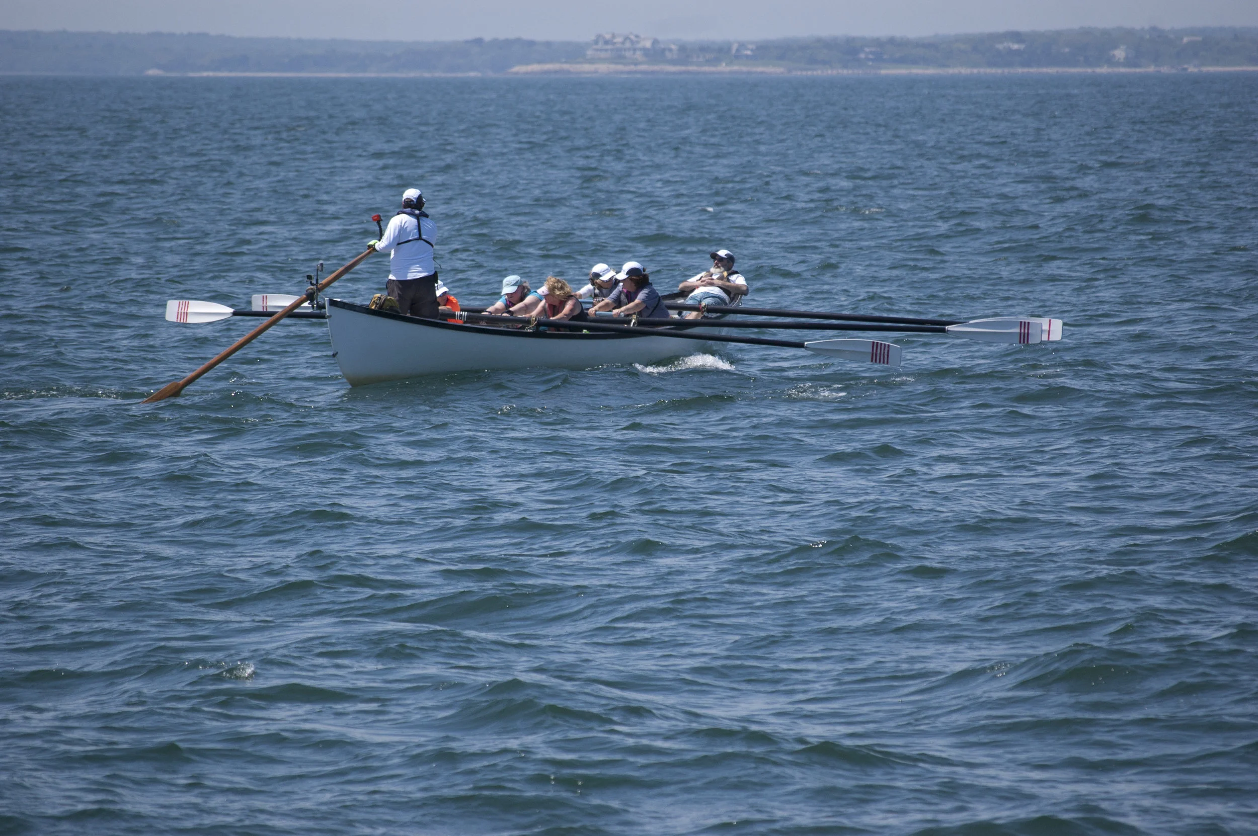 DSC_3393.jpg