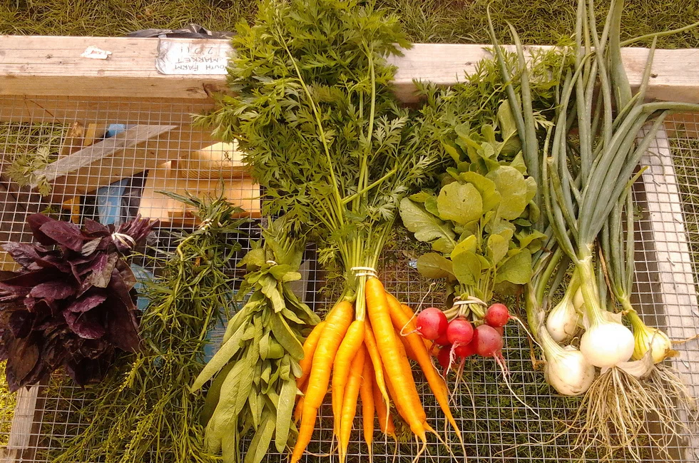 veg_share.jpg