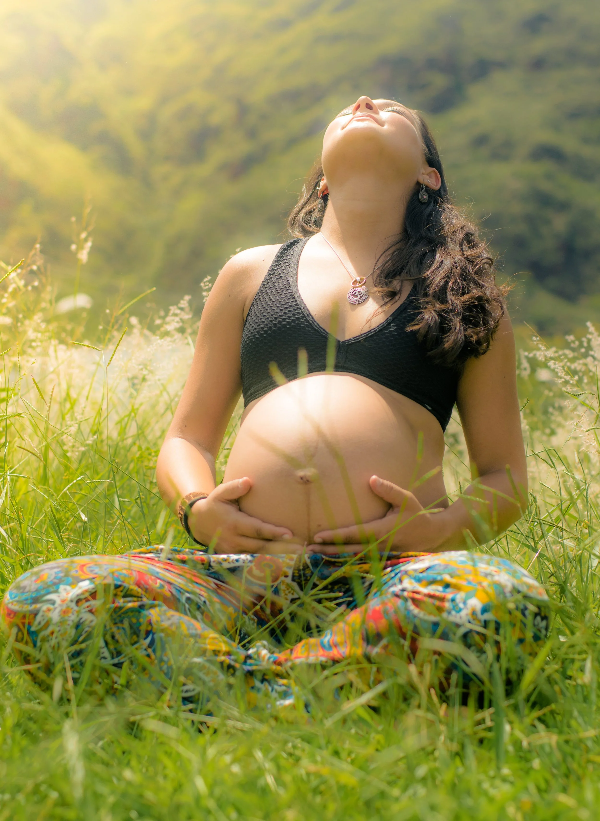 Soleil dans l'herbe.jpg