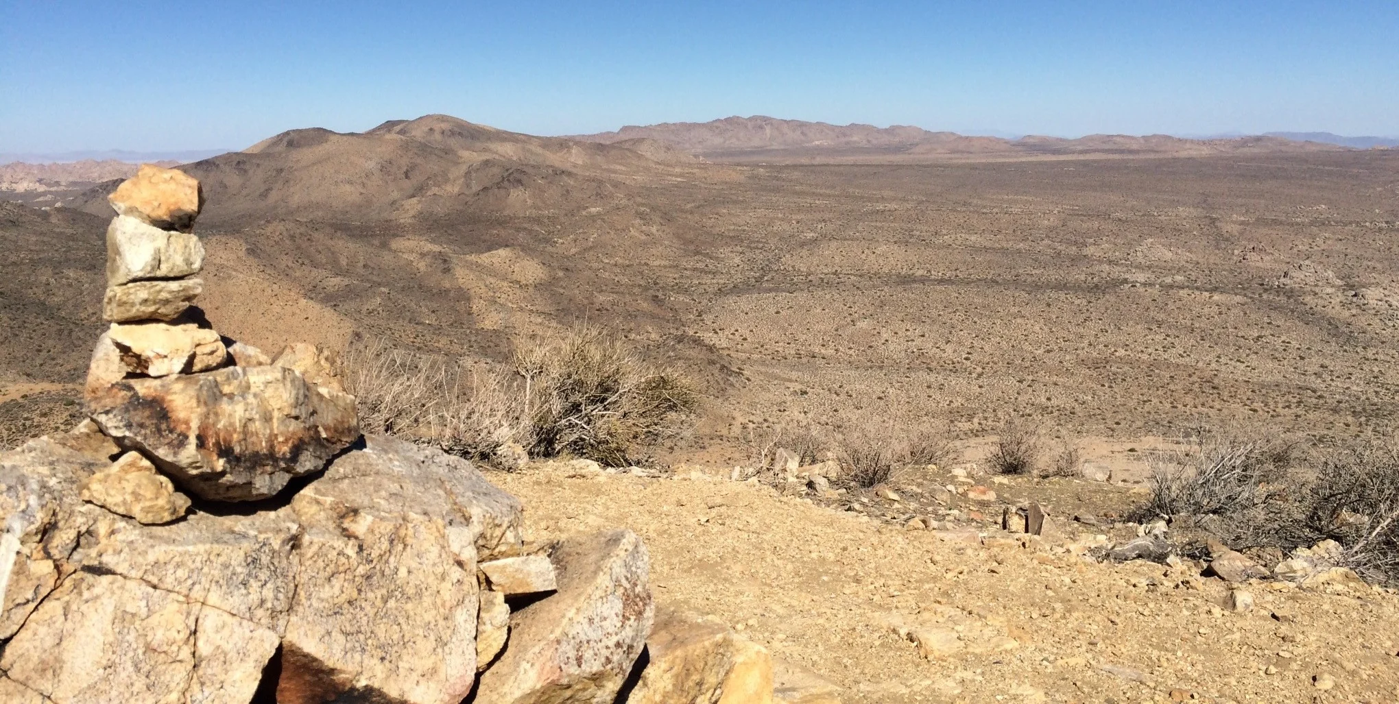 What Level of Leader Are You?