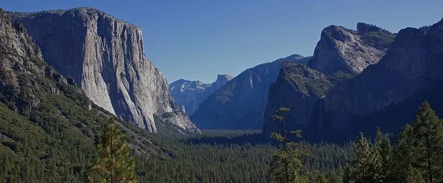 Failure: Is Failing Really Failure?