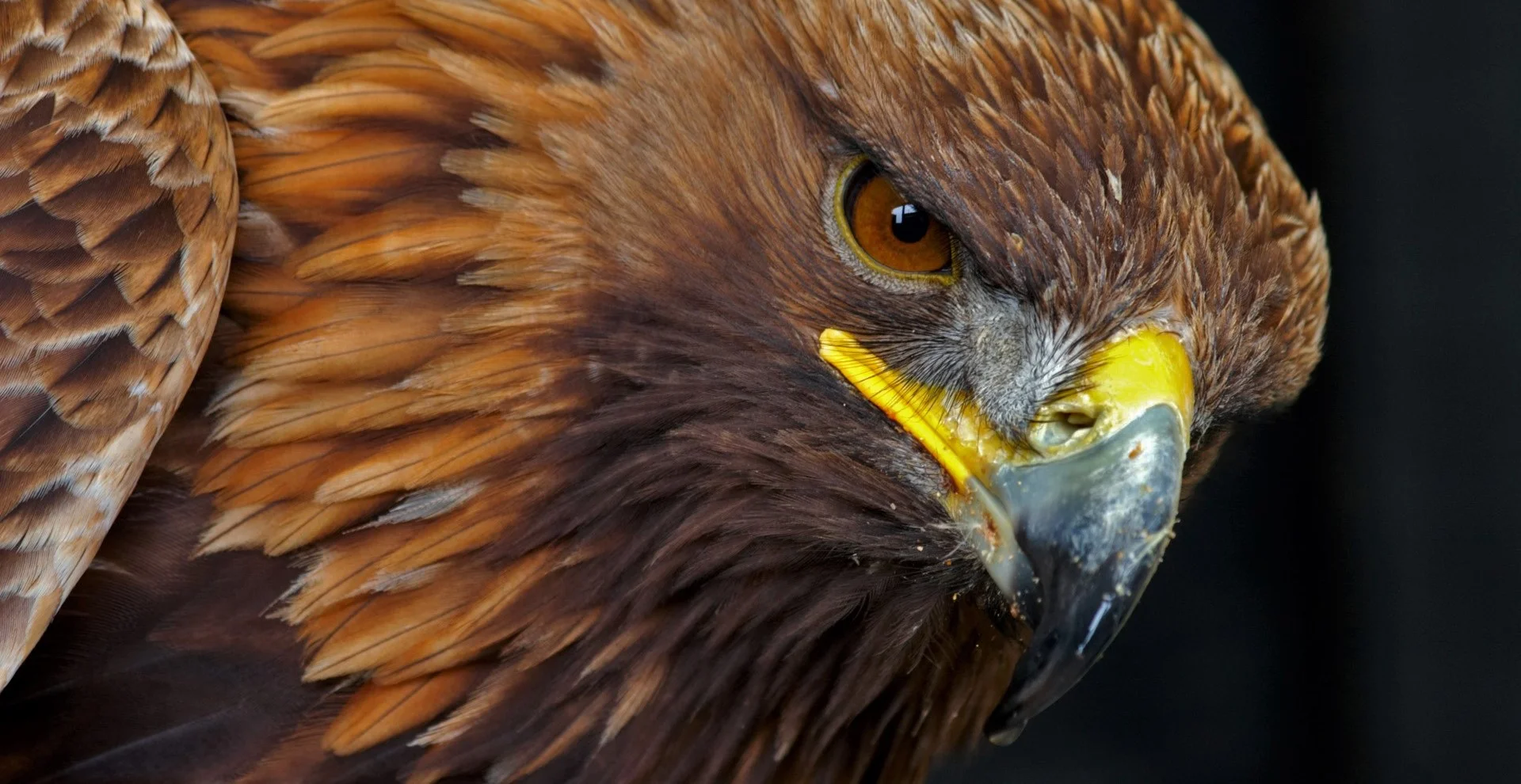 Keen Leadership: Perspective is Everything