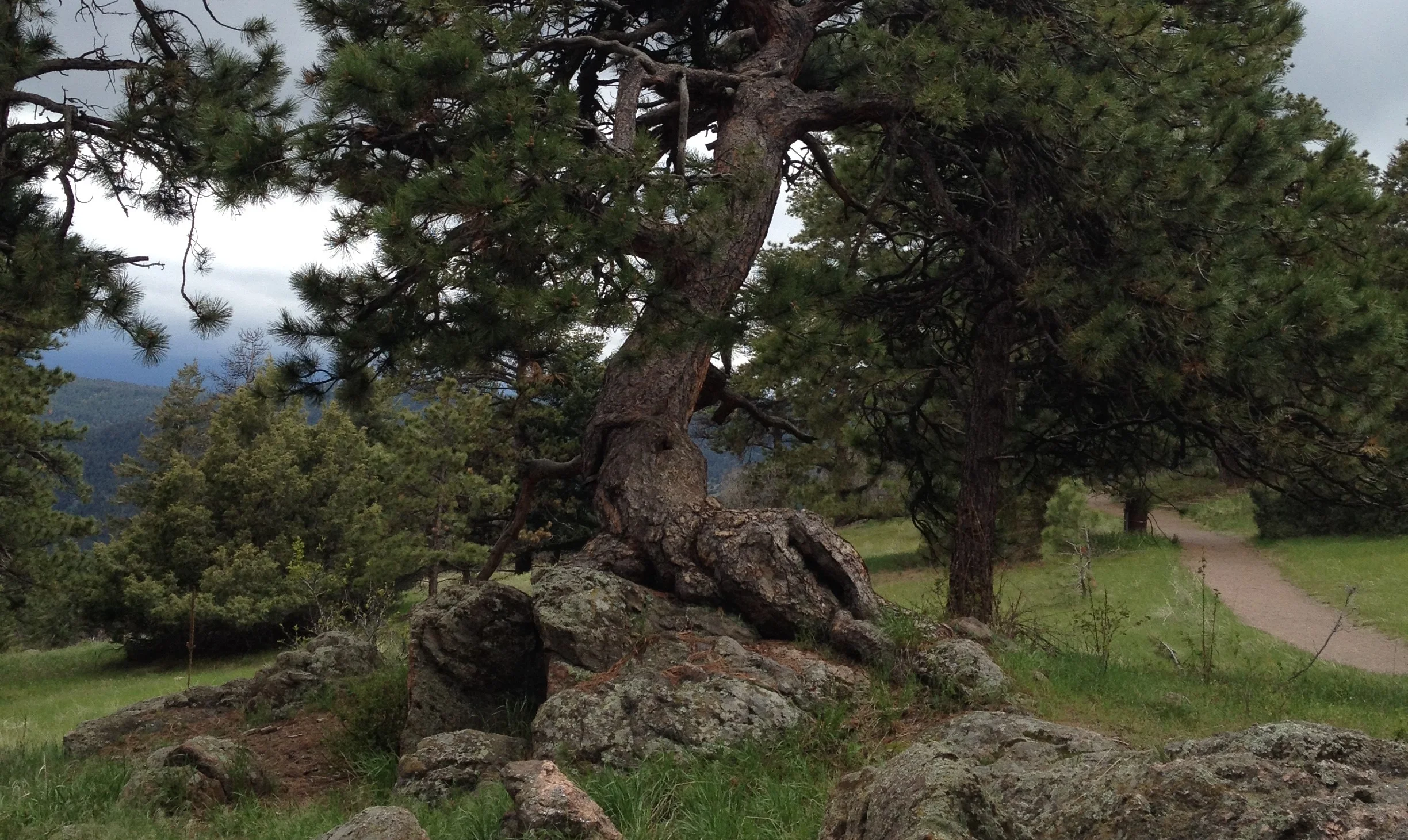 Grit: Leadership Through Pure Will