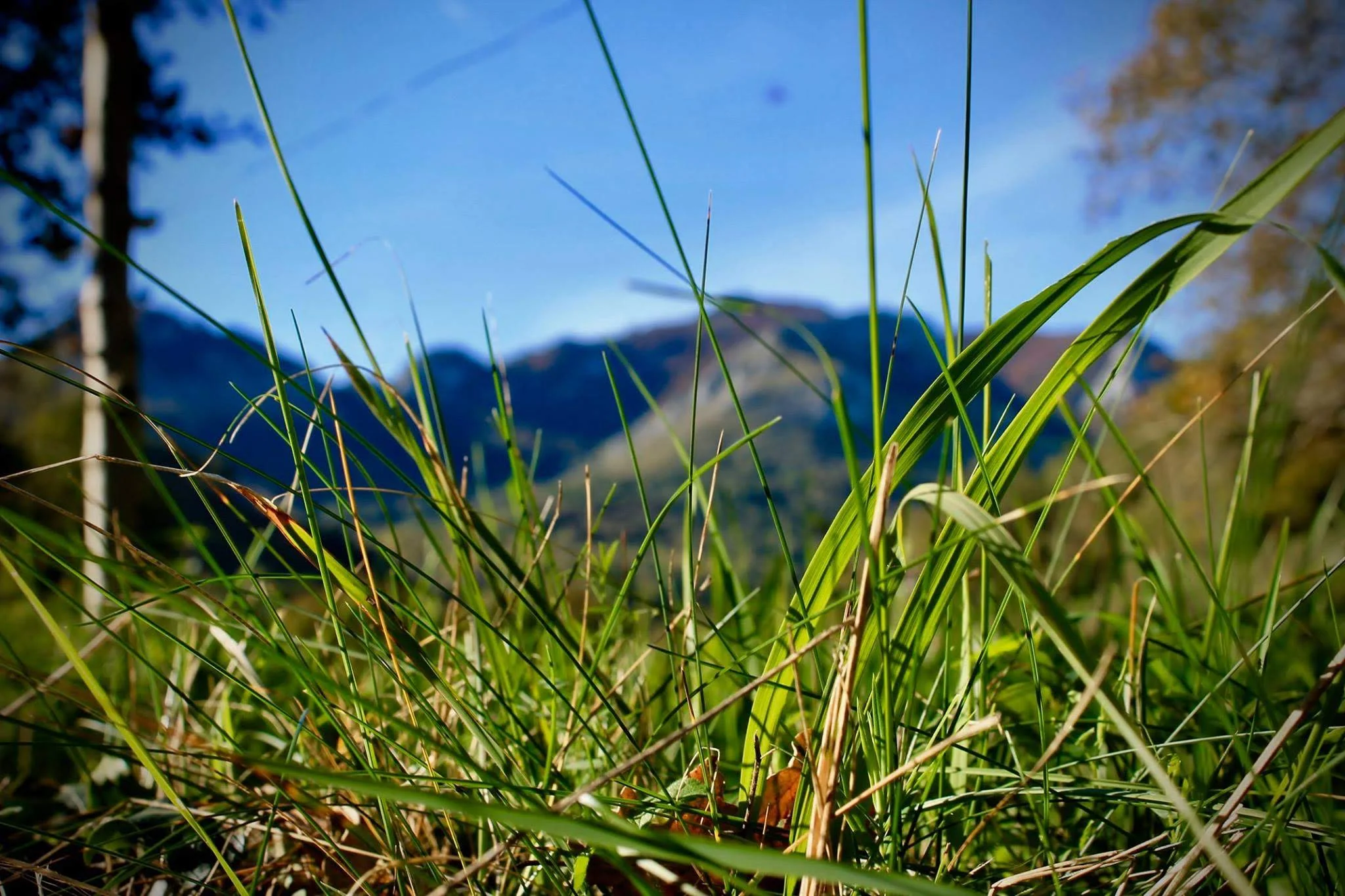 Are You Ready To Listen Deeper?