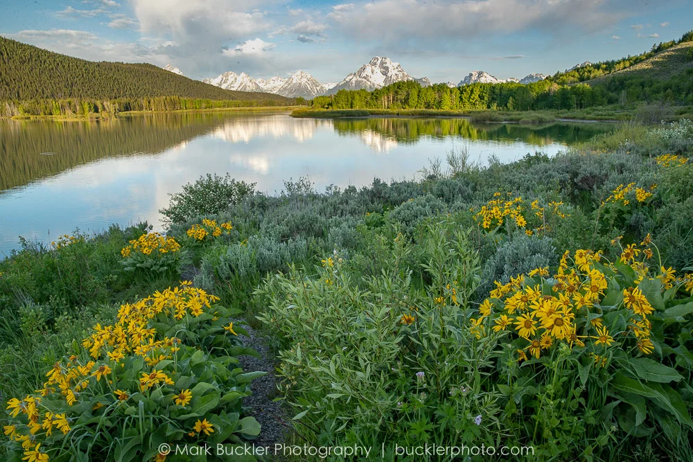 20180607-_P1I5575-HDR.jpg