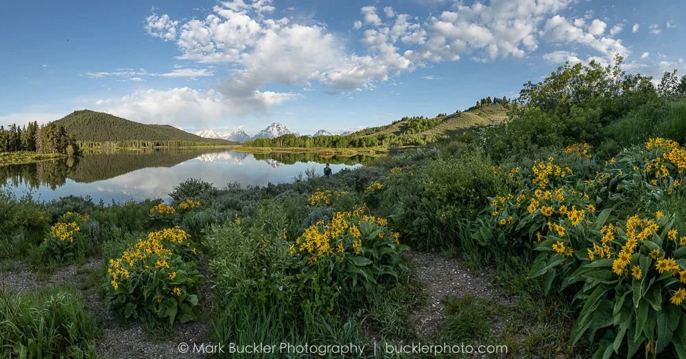 20180607-_P1I5644-Pano.jpg