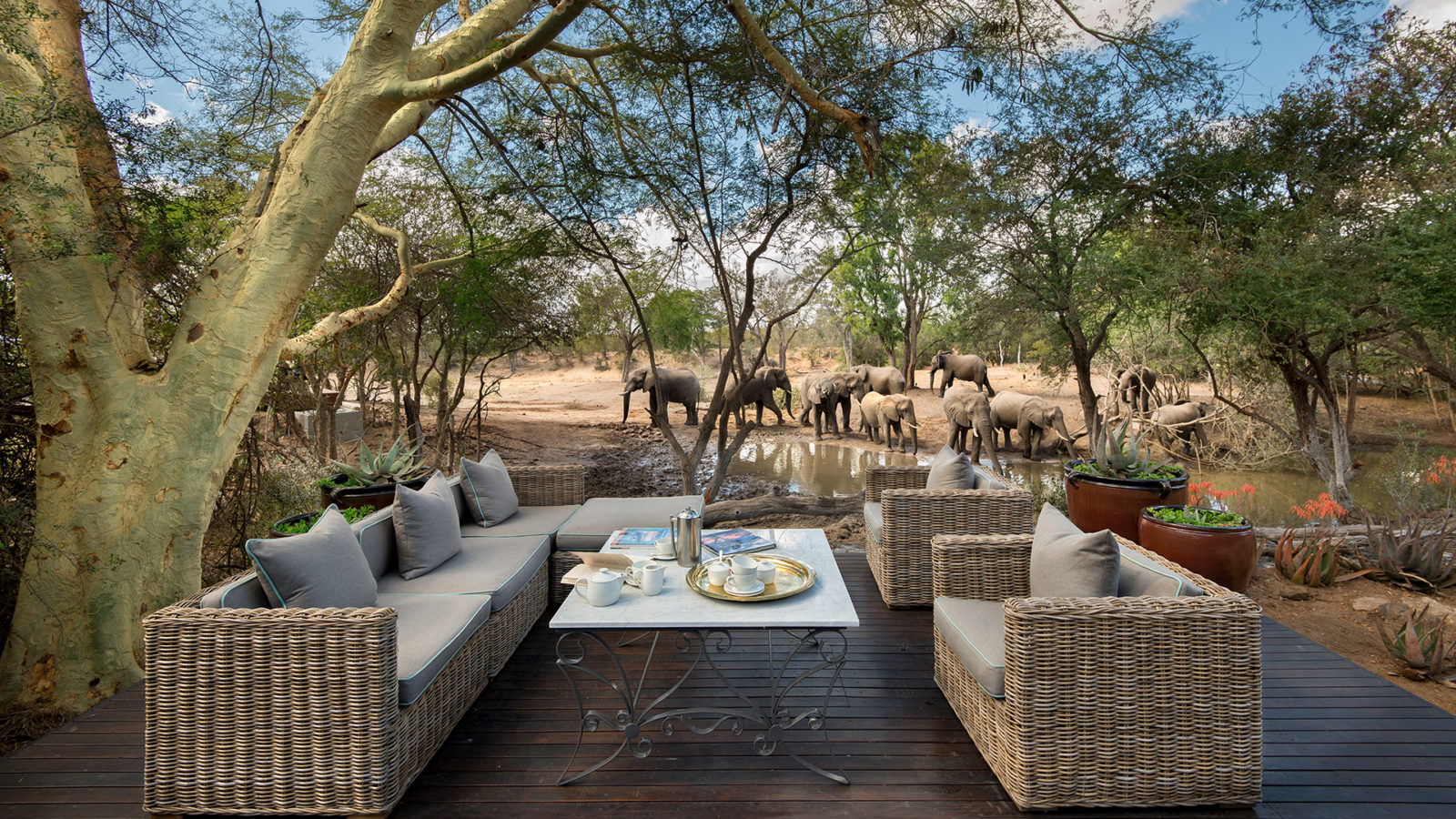 Header-elephants-at-waterhole-at-luxury-andbeyond-ngala-safari-lodge-close-to-kruger-national-park-in-south-africa1-1600x900.jpg