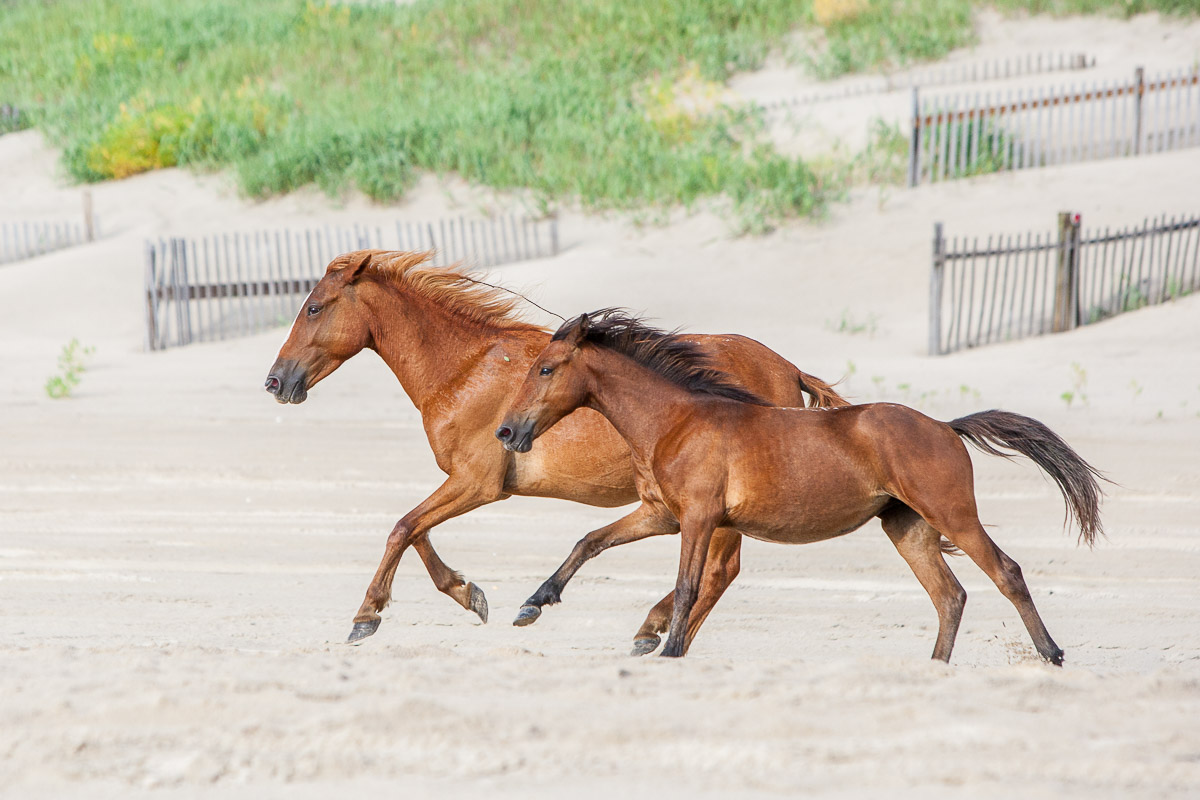 20130802_191.jpg