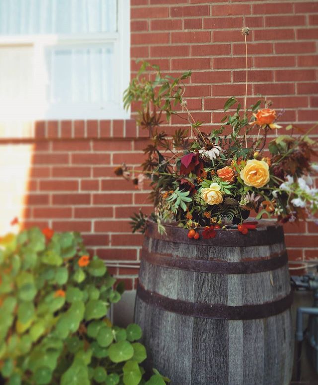The thing I fell most in love with while in the Netherlands was how all the shop keepers and restaurant owners kept their flowers far past their due date; dehydrated roses with dried greens. I believe the treatment of a flower says a lot about how a 
