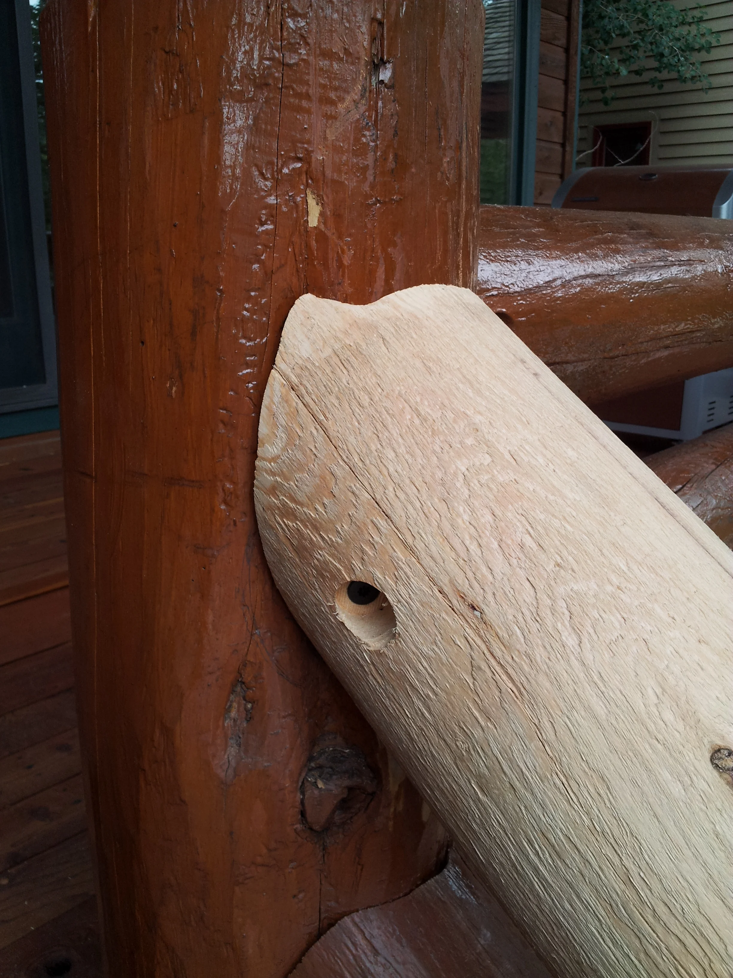 log-staining.jpg