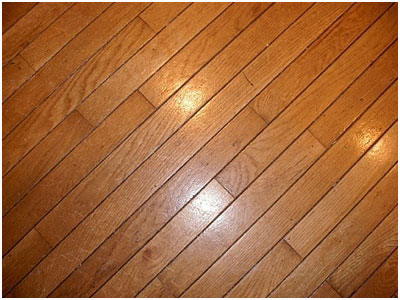 Shiney Hardwood Floor