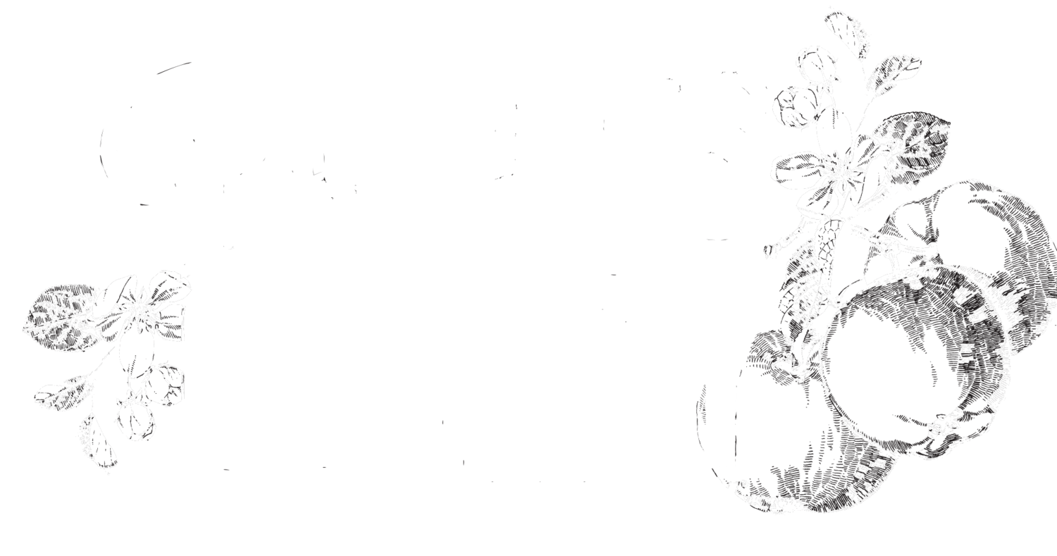 Pennings Farm Cidery