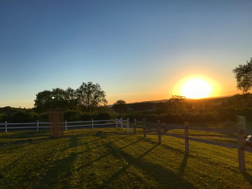 Picture of sunset overlooking cidery yard