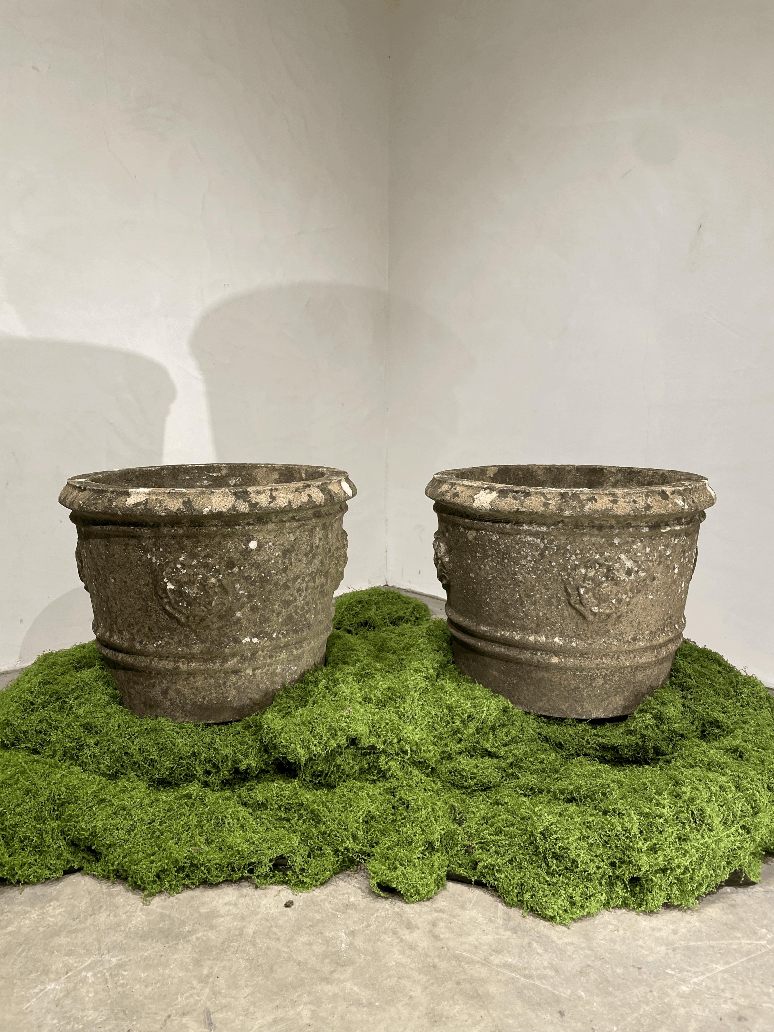 tempImageuqzuEV.gif