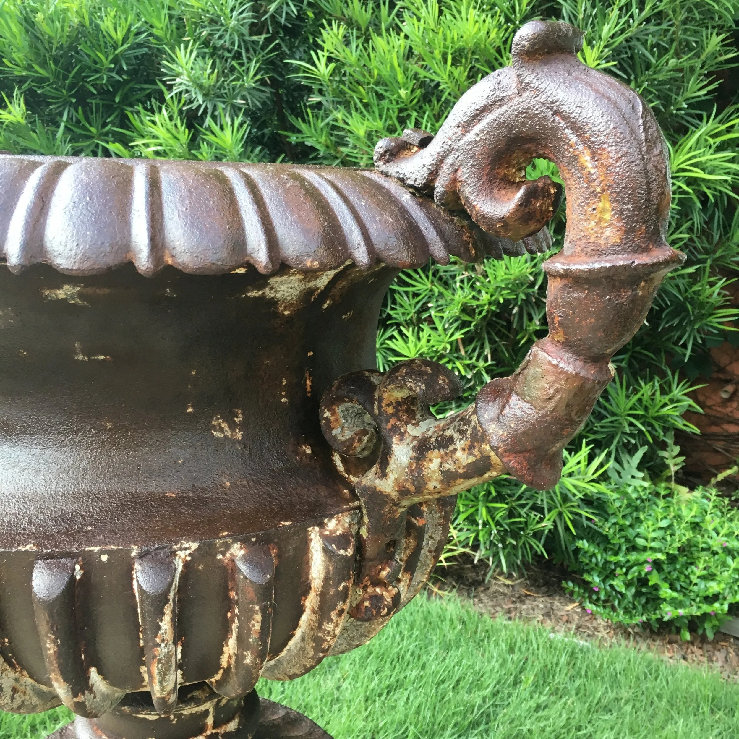 3106. Pair of 19th Century Cast Iron French  Urns 3_Charleston GardenWorks.JPG
