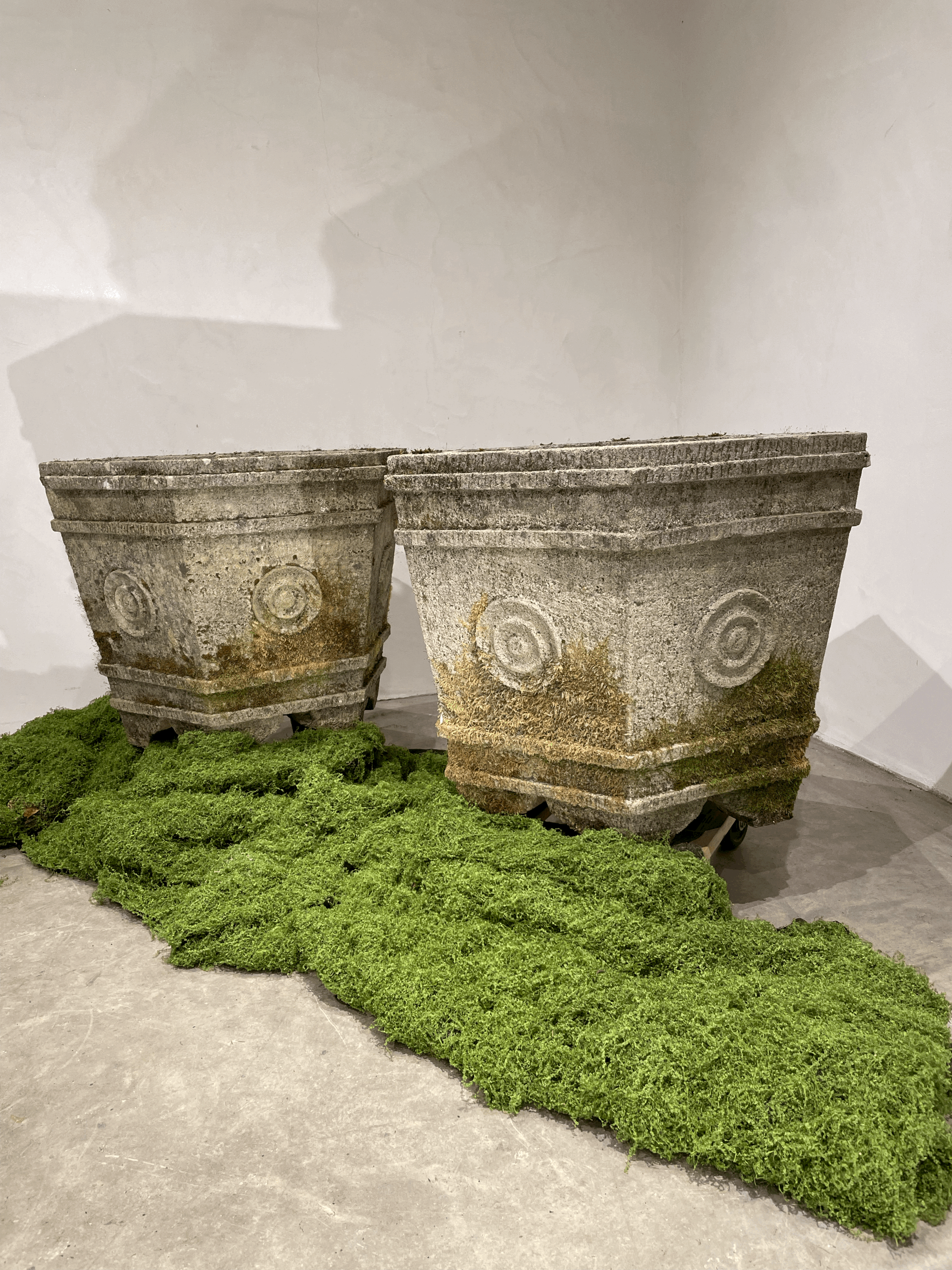 tempImagedg1biQ.gif