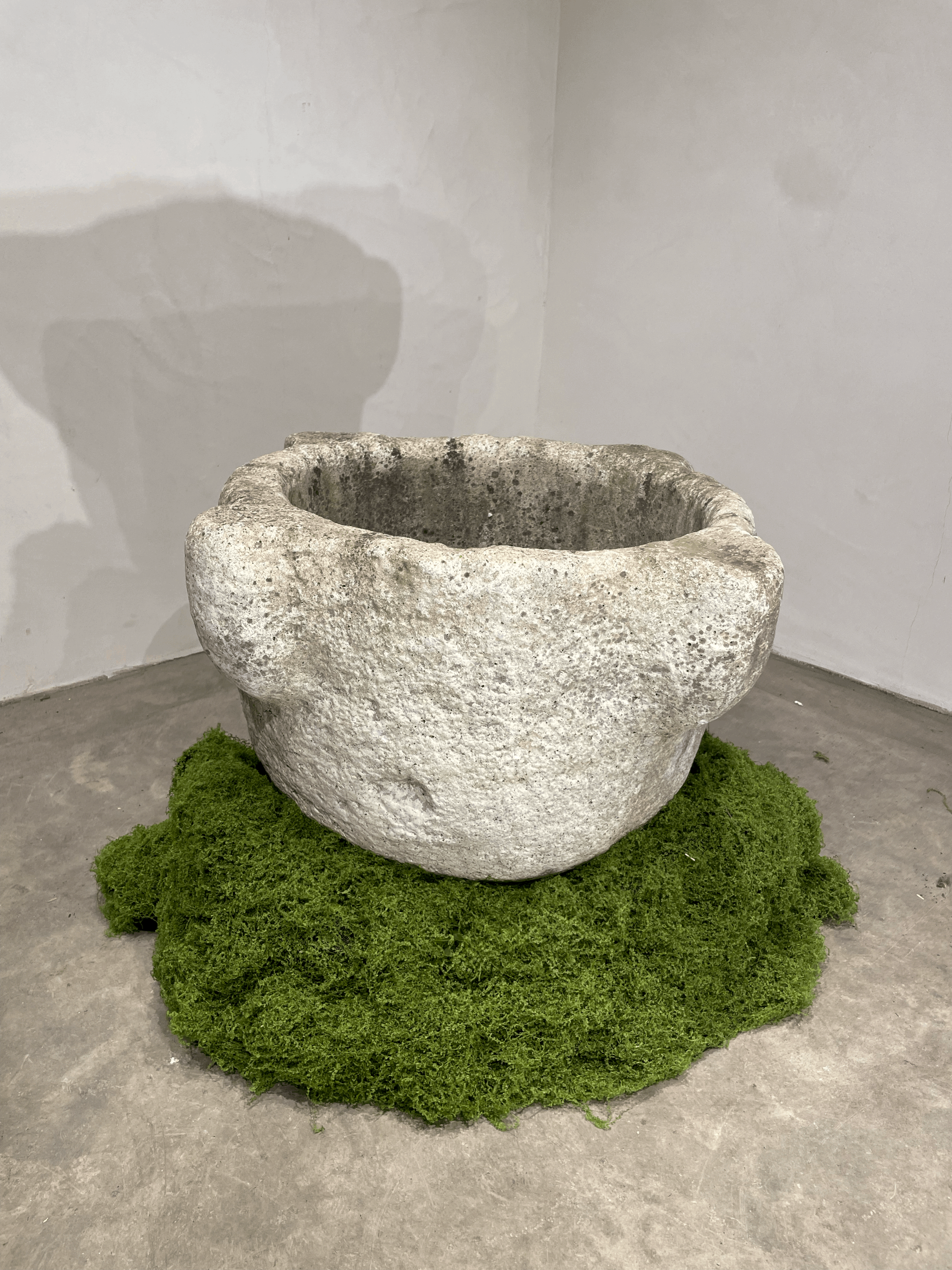 tempImagenZUZS2.gif