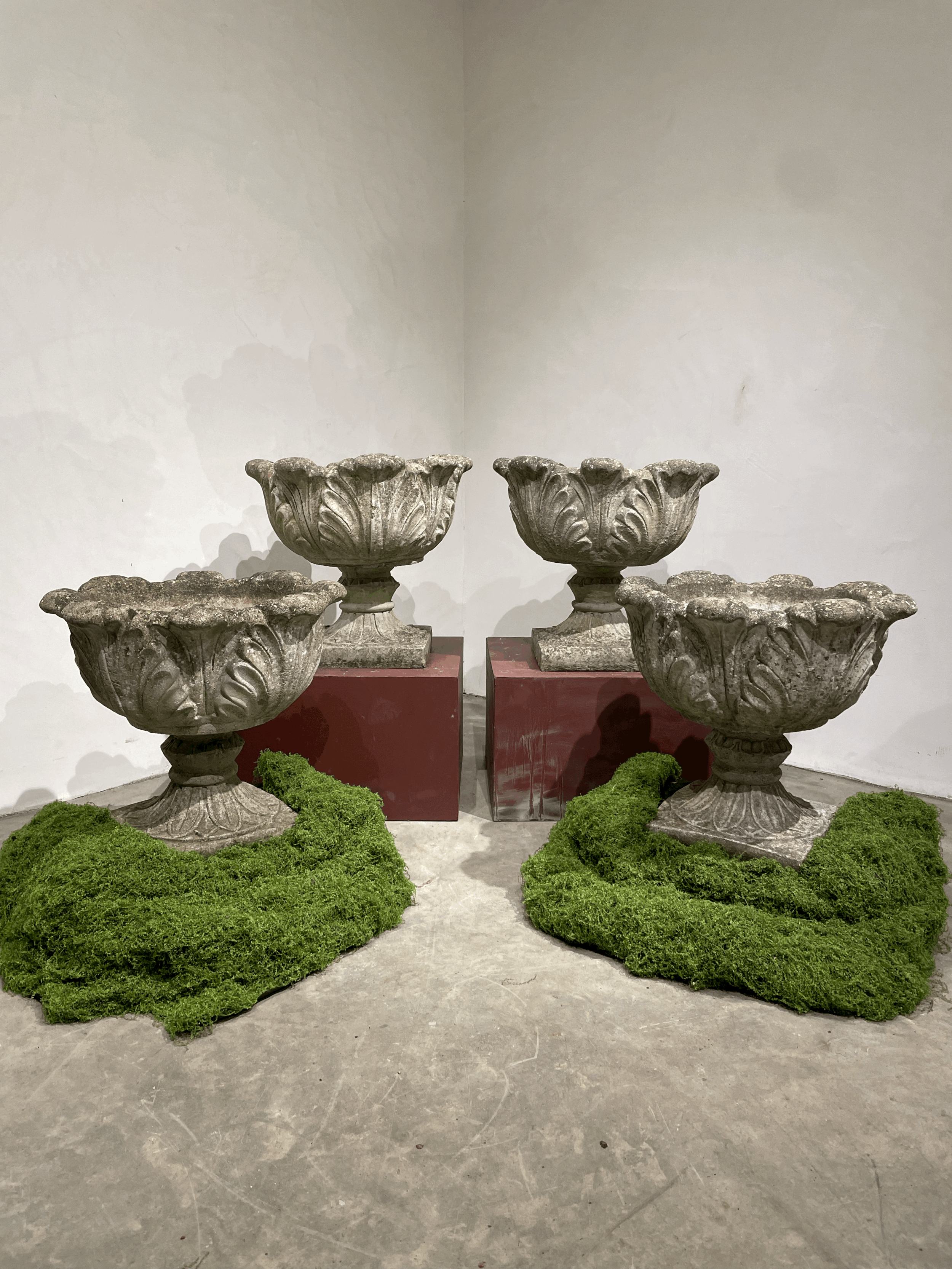tempImageQzIqup.gif