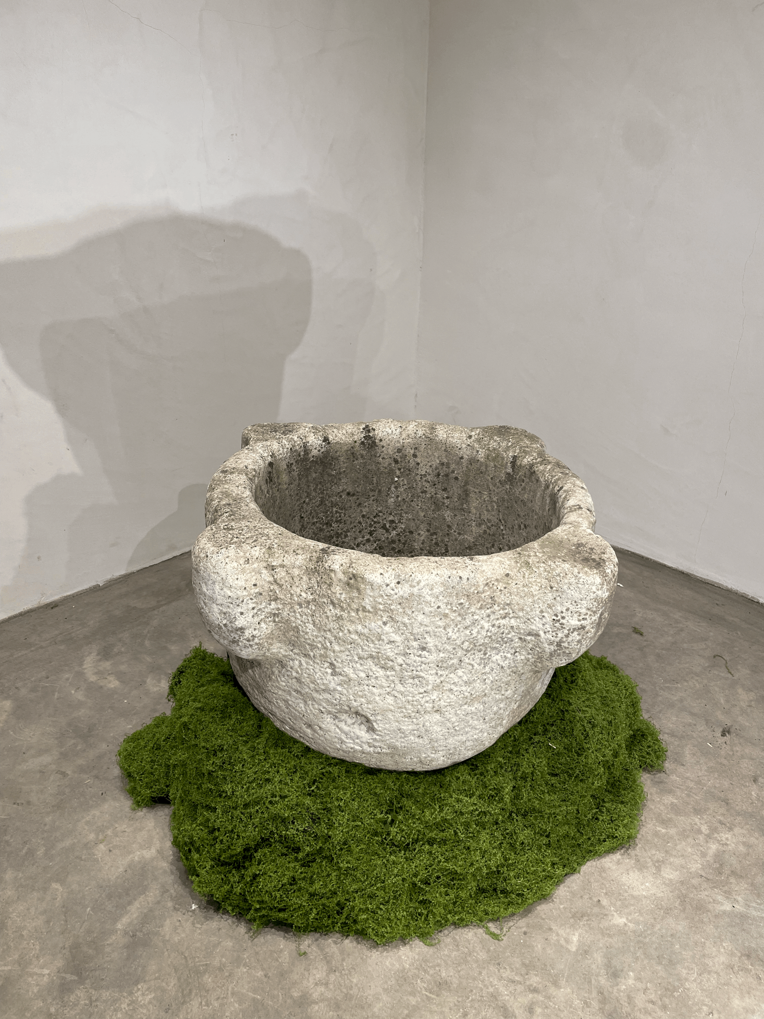 tempImageXWUSNi.gif