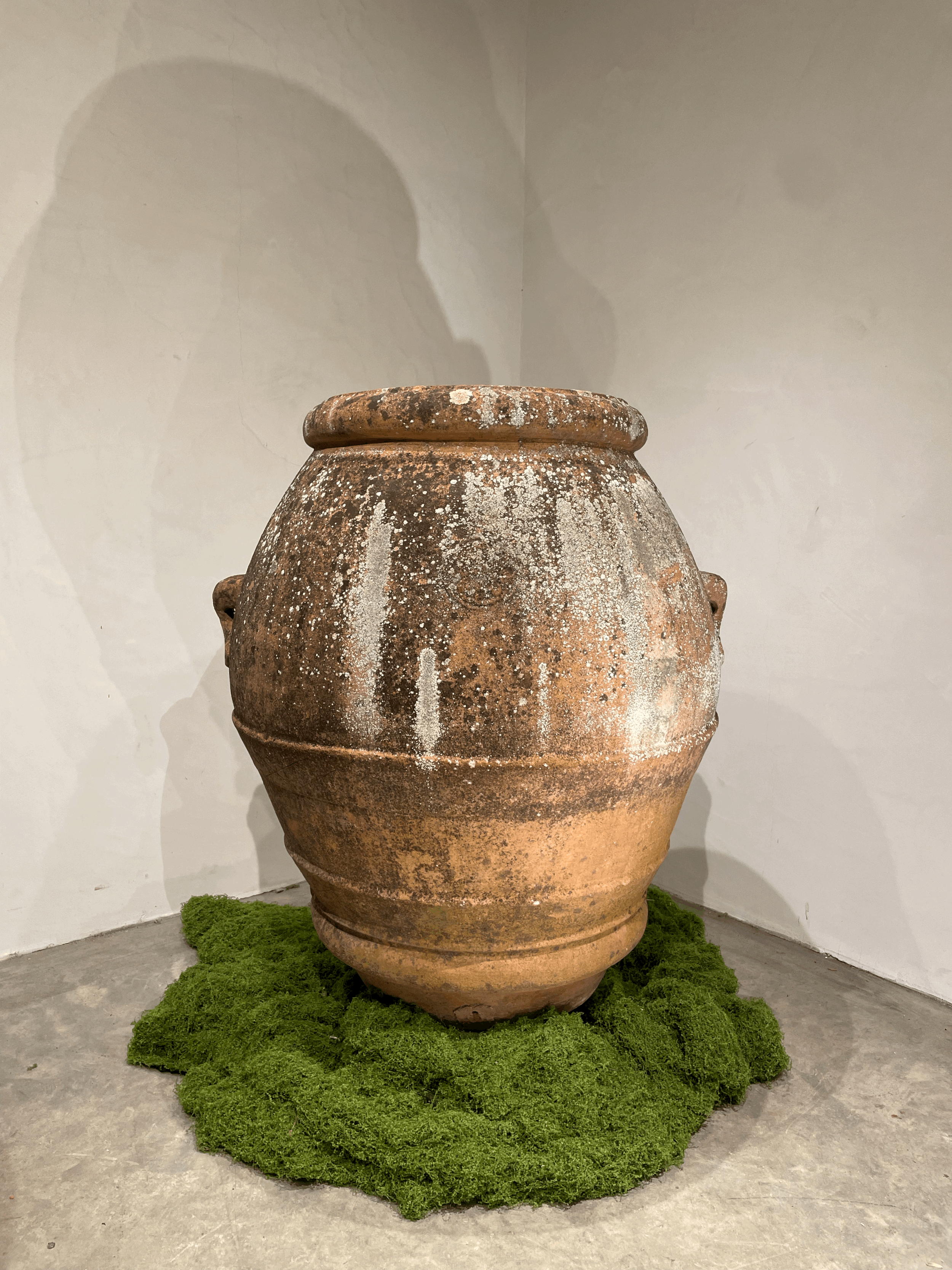 tempImageWP8ErG.gif