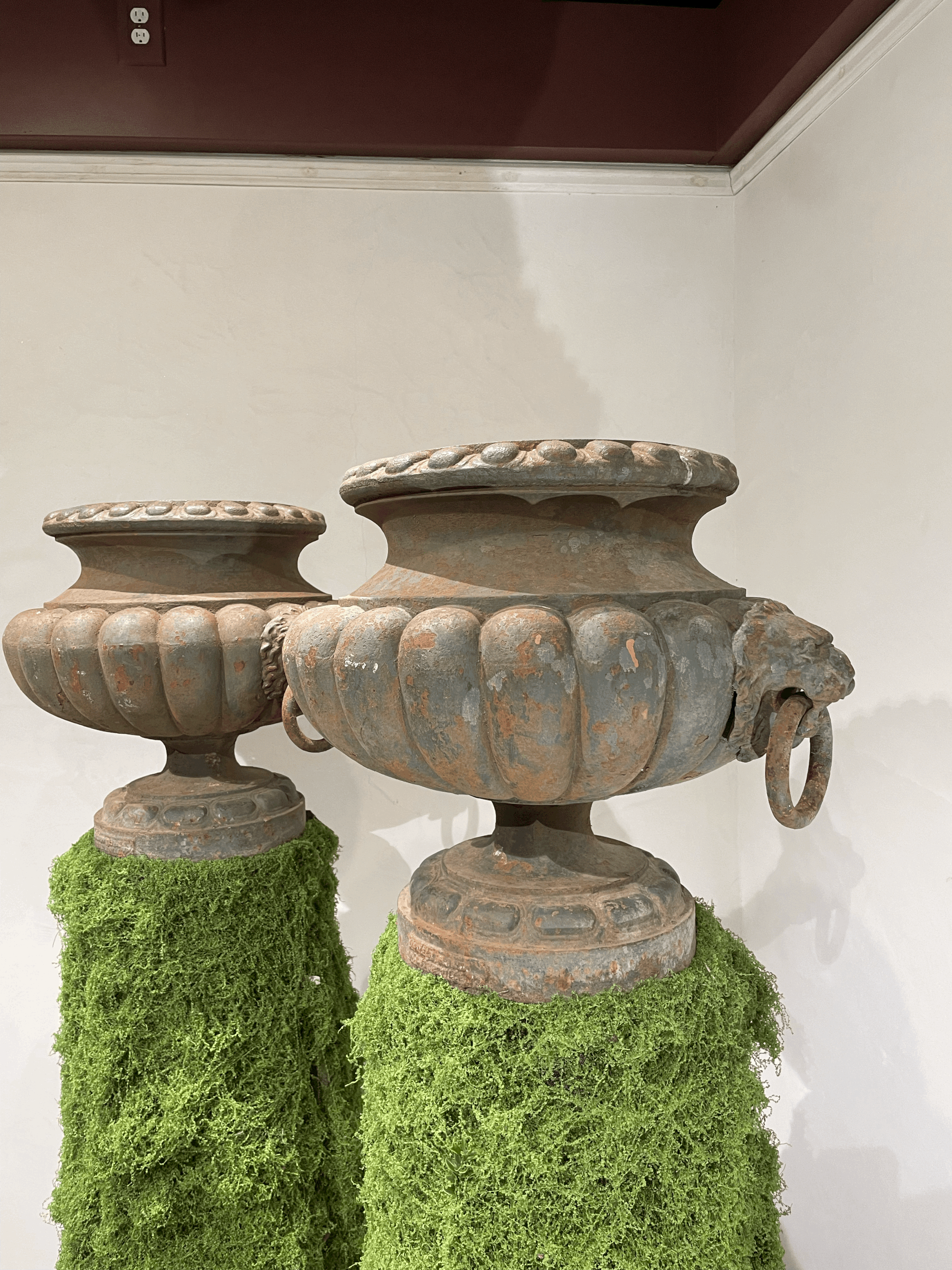 tempImageHaVZeV.gif
