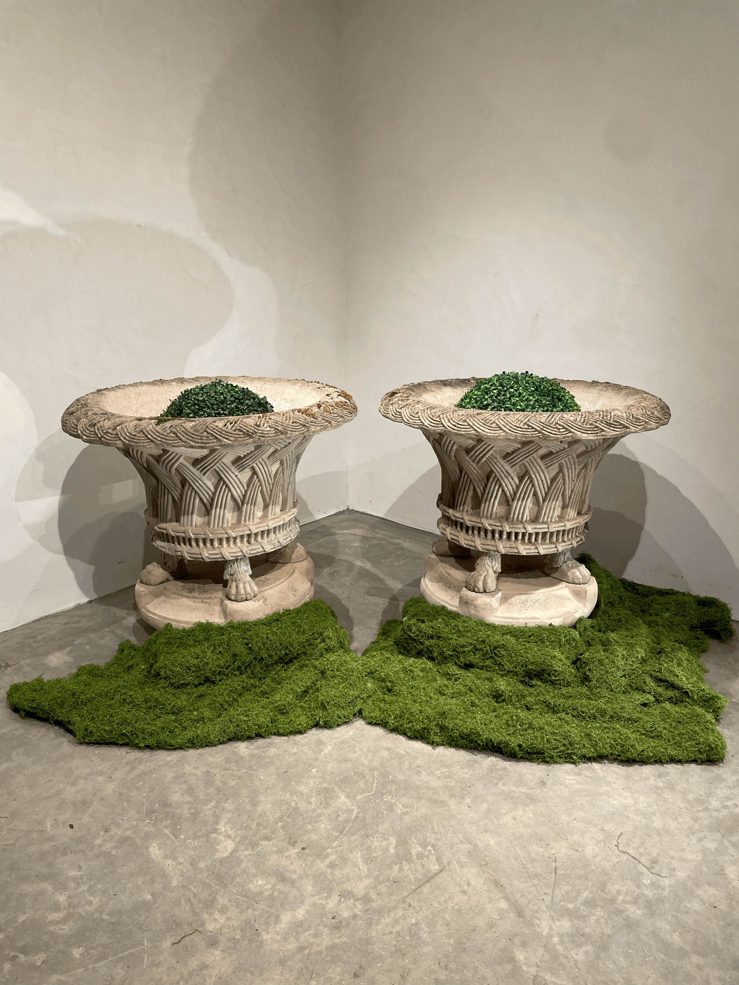 tempImageg9JVWv.gif