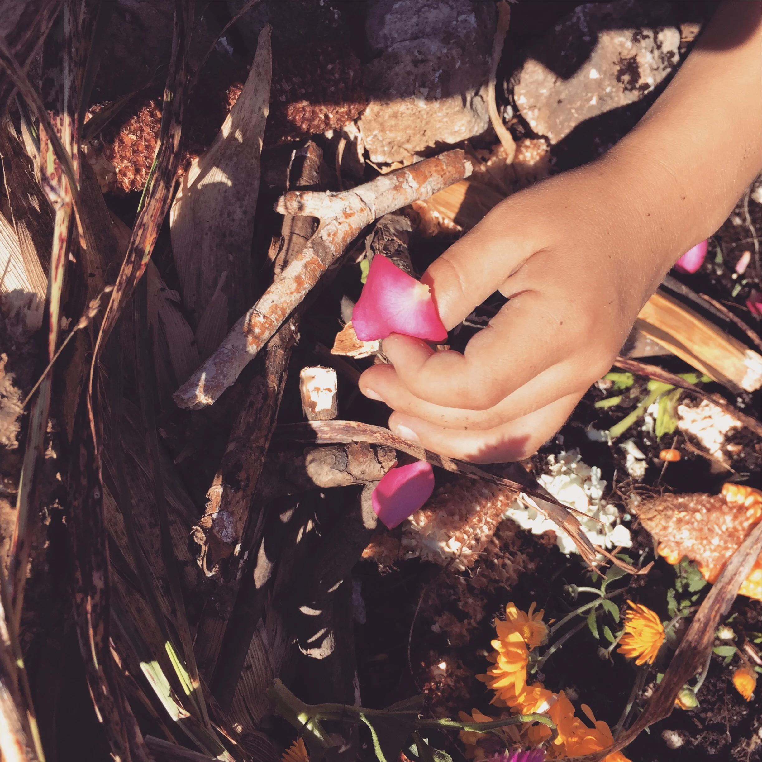  The Value of Playing in the Dirt at the Blue River Forest School