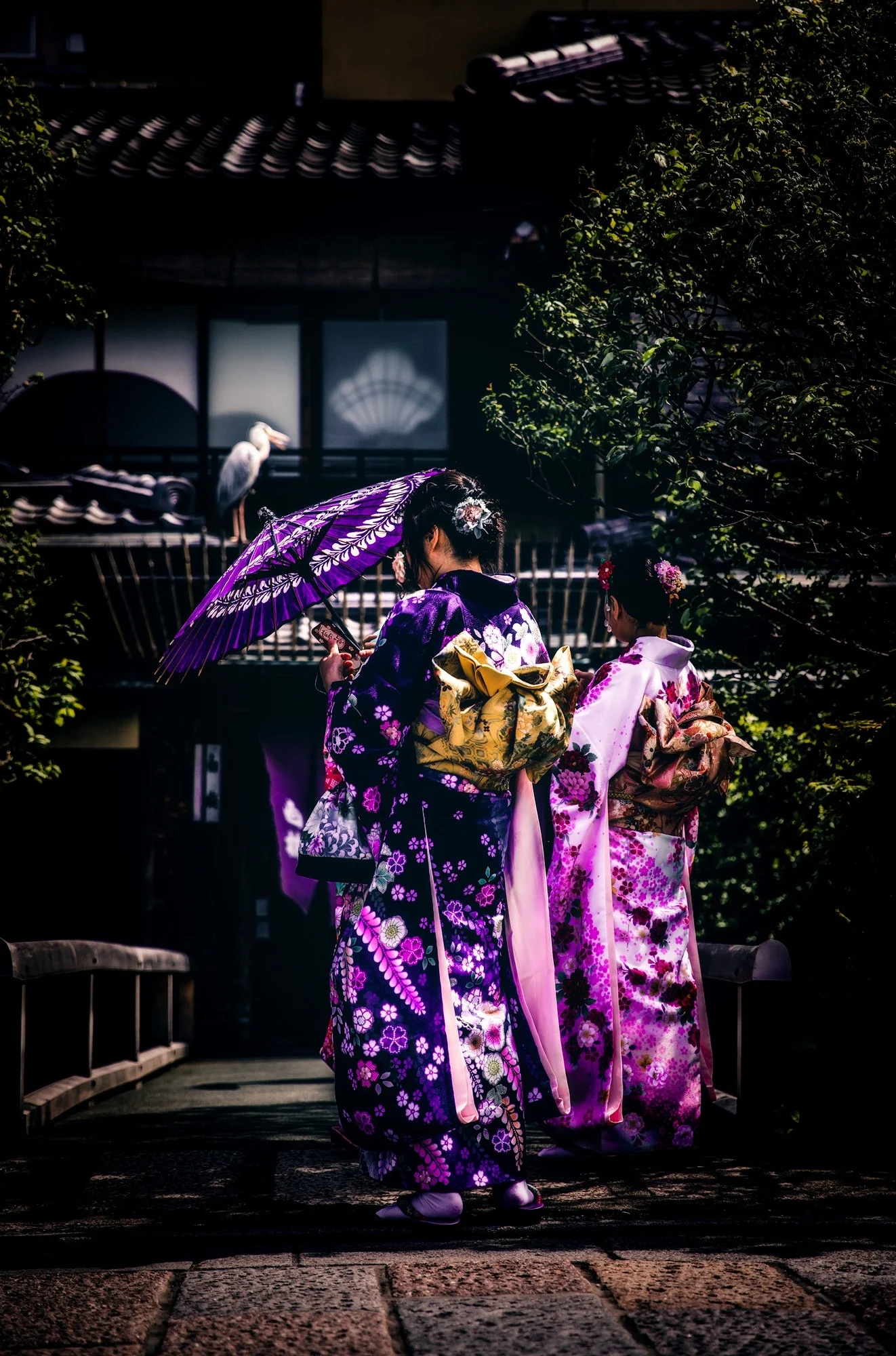 buildings-colorful-costume-415173.jpg