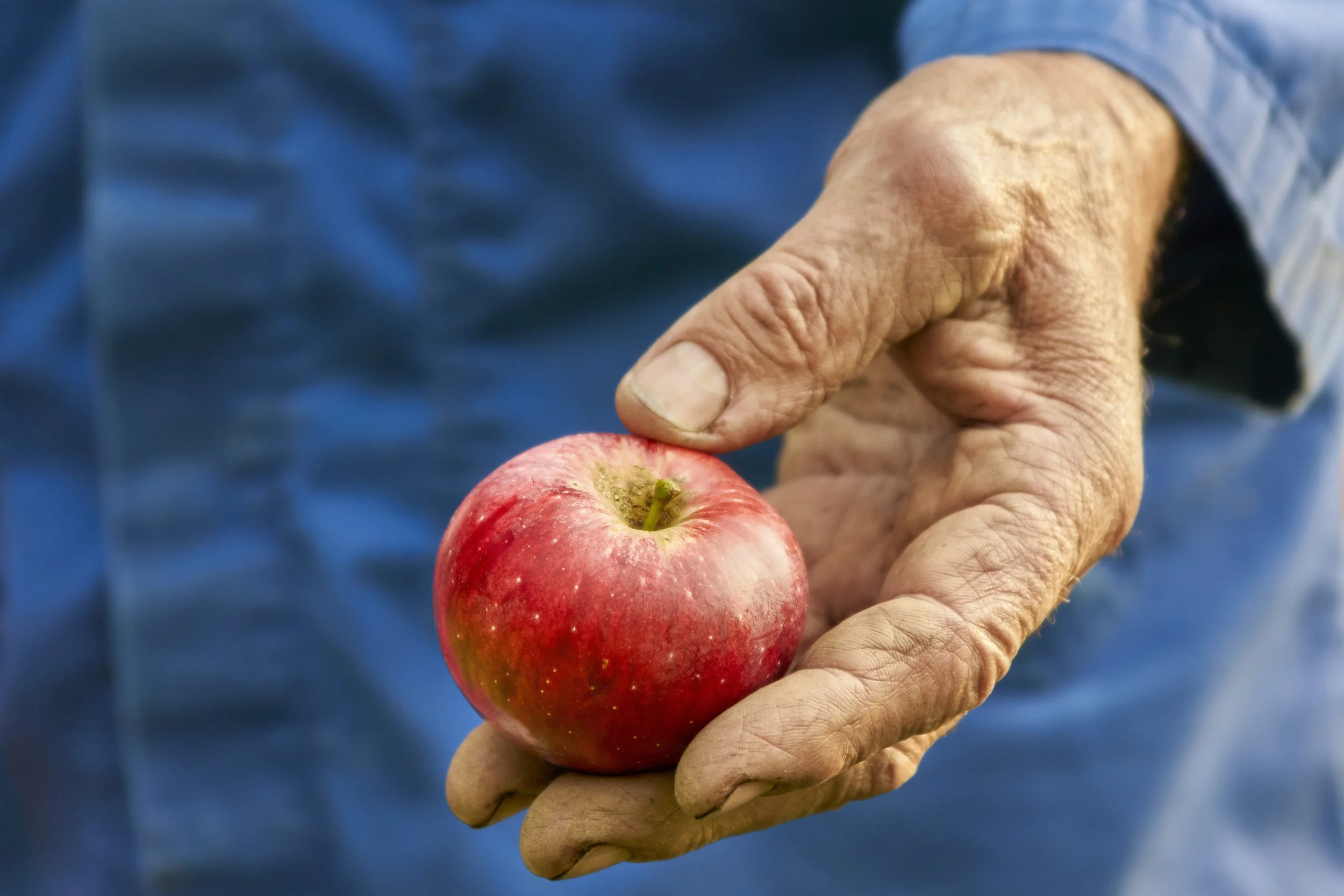 elderly-hand.jpg