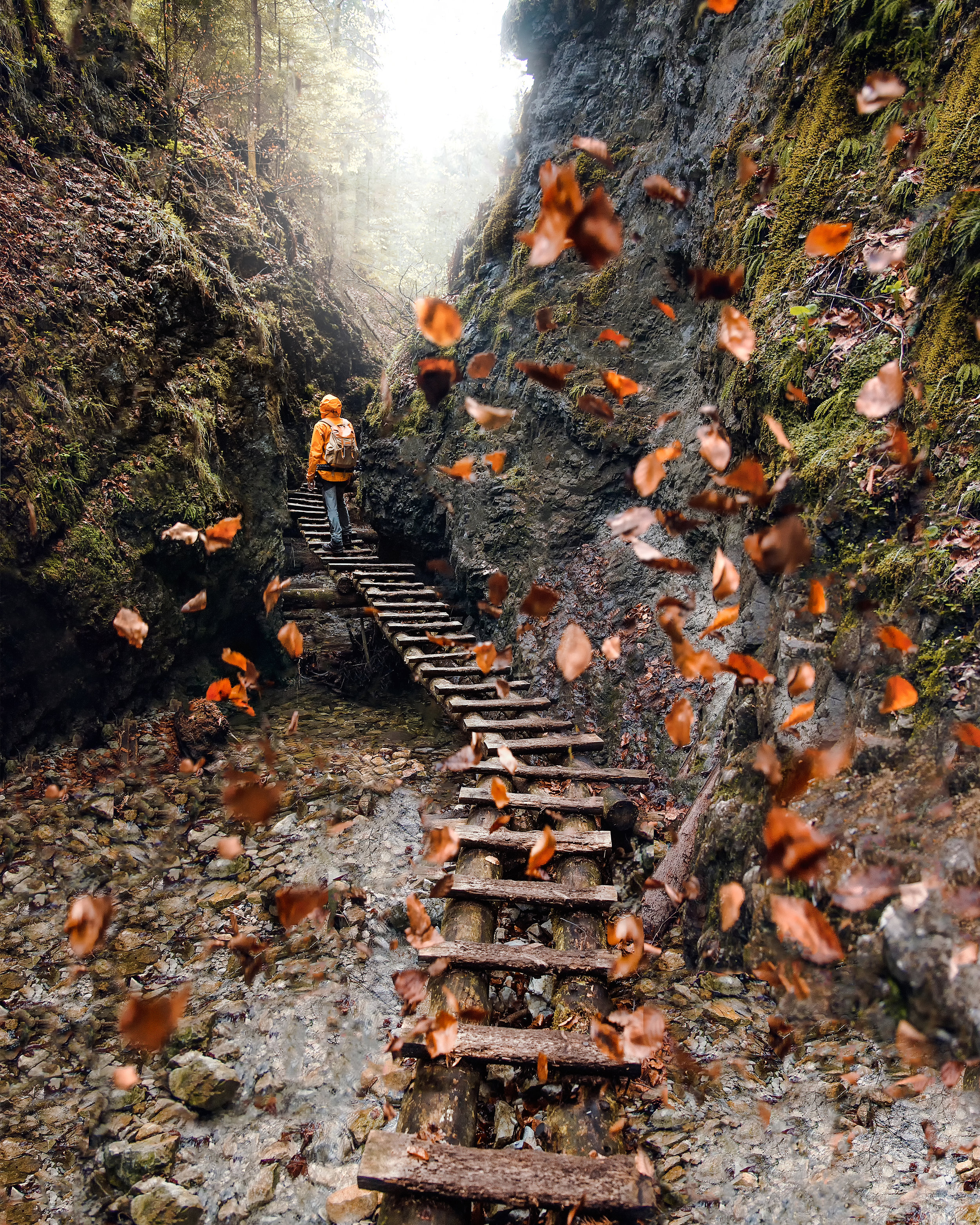 https___www.lifeofpix.com_wp-content_uploads_2018_12_02-Slovakia-Slovak-Paradise_low.jpg