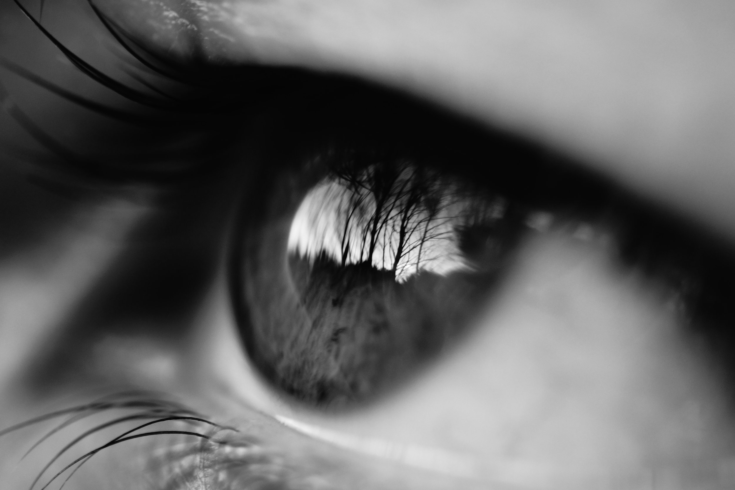 human-eye.jpg