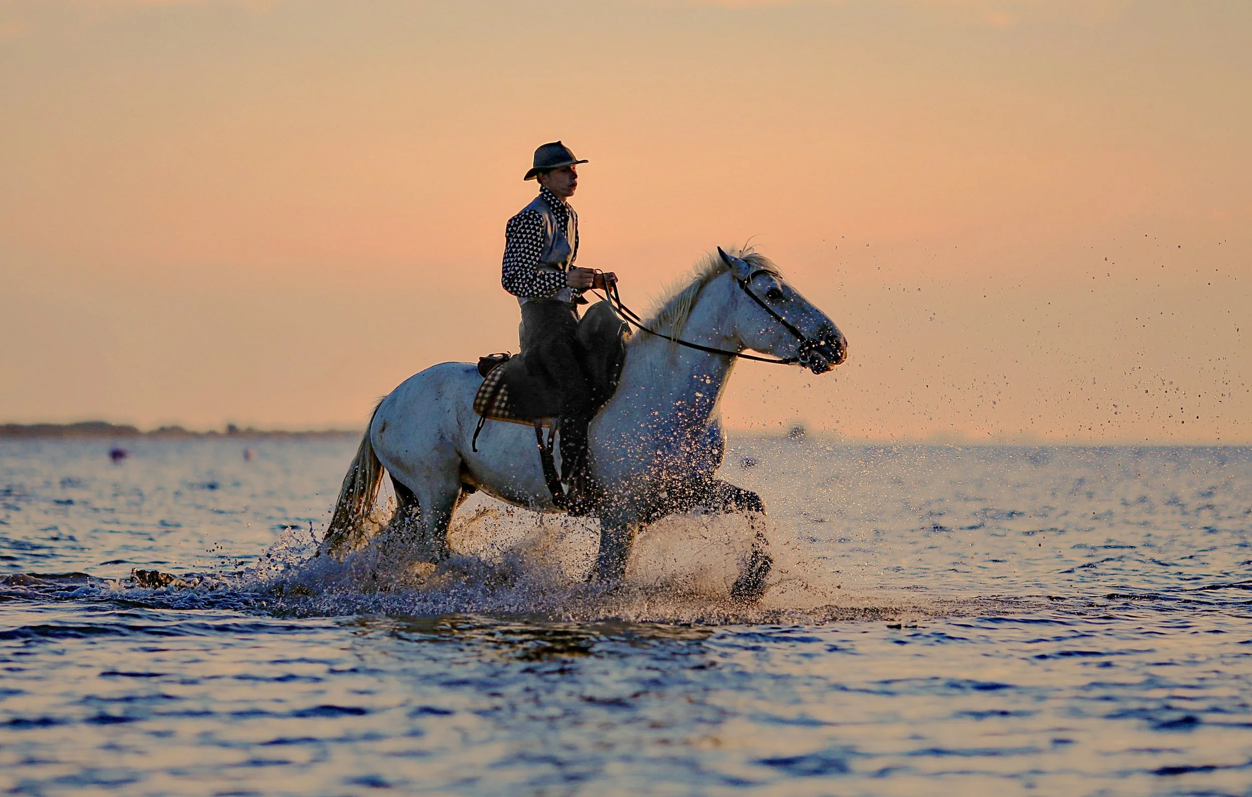 negative-space-man-horse-cowboy-hat-sea-water-photo-graphe.jpg