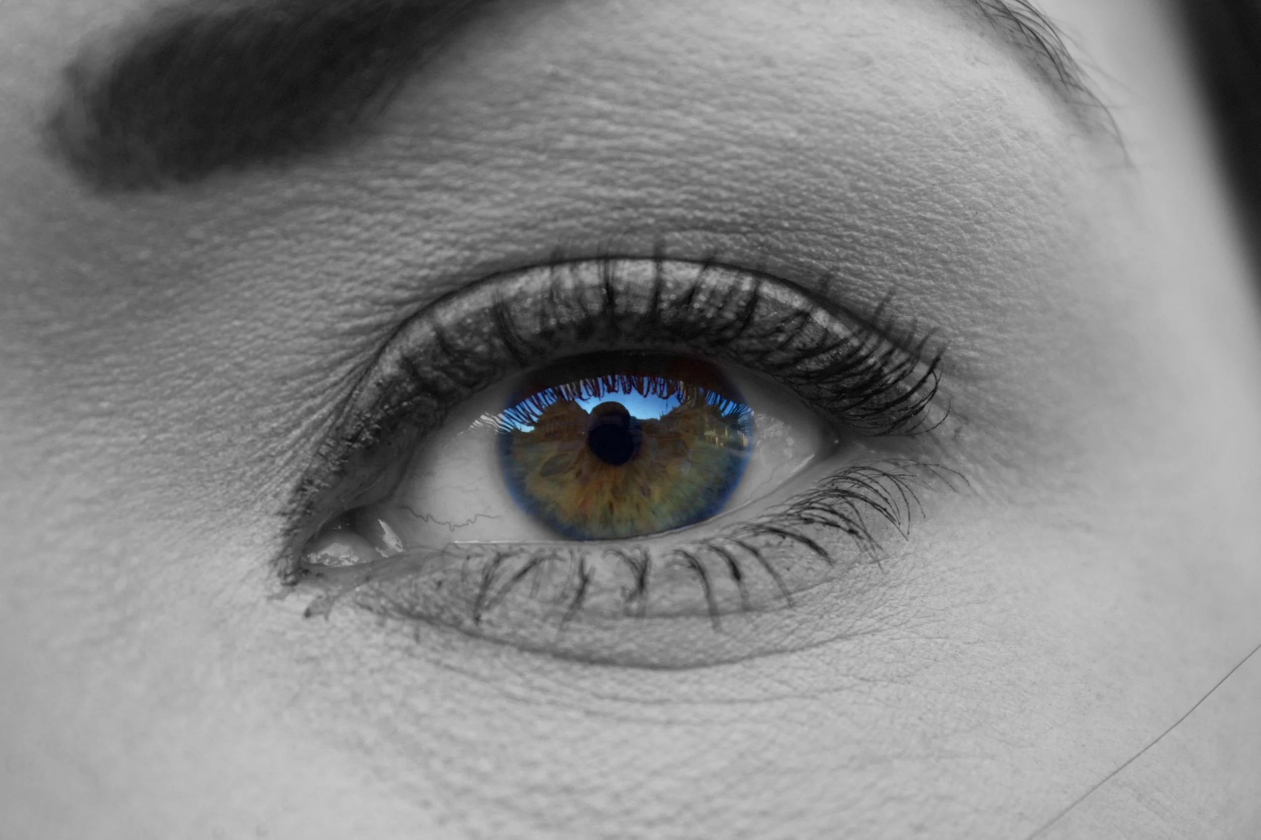 picography-eye-1.jpg