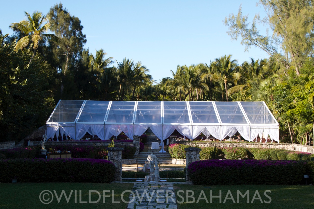 Wildflowers-Bahamas-Weddings-Events-Caroline&Joe-003.jpeg