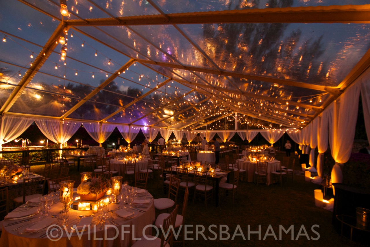Wildflowers-Bahamas-Weddings-Events-Caroline&Joe-004.jpeg