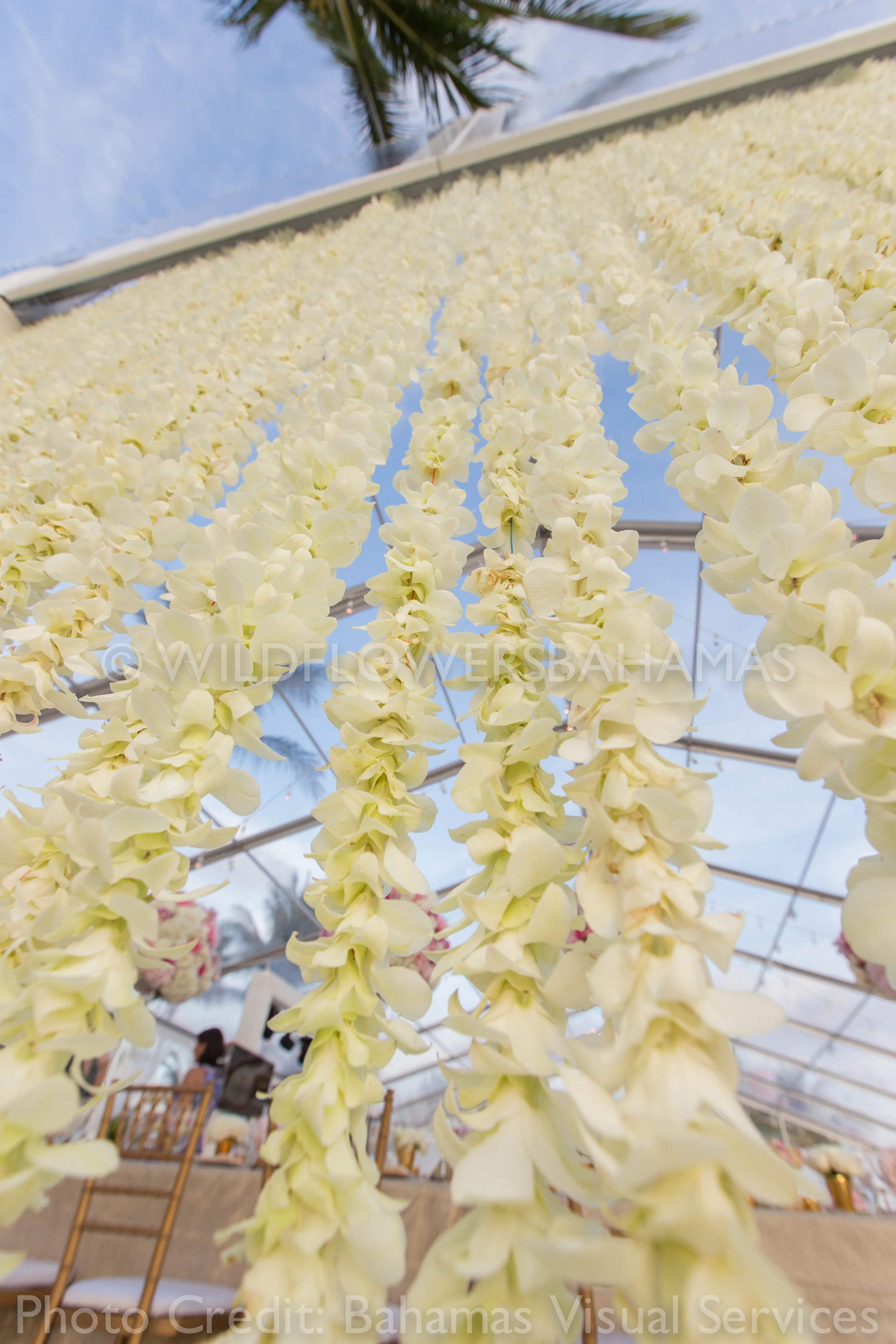 Wildflowers-Bahamas-Weddings-Events-Decor-AR-bvs-80.jpg