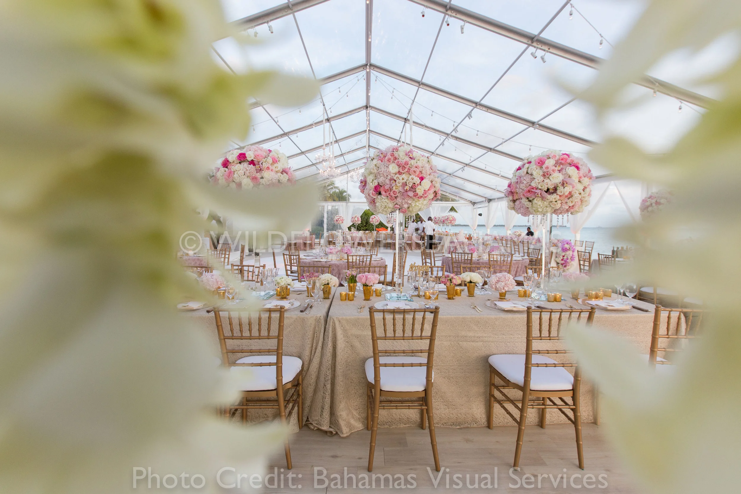 Wildflowers-Bahamas-Weddings-Events-Decor-AR-bvs-113.jpg