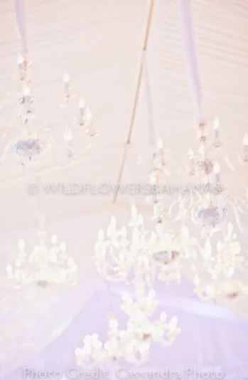 Wildflowers-Bahamas-Weddings-Events-Decor-Floral-23.jpg