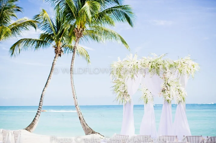 Wildflowers-Bahamas-Weddings-Events-Decor-Floral-12.jpg