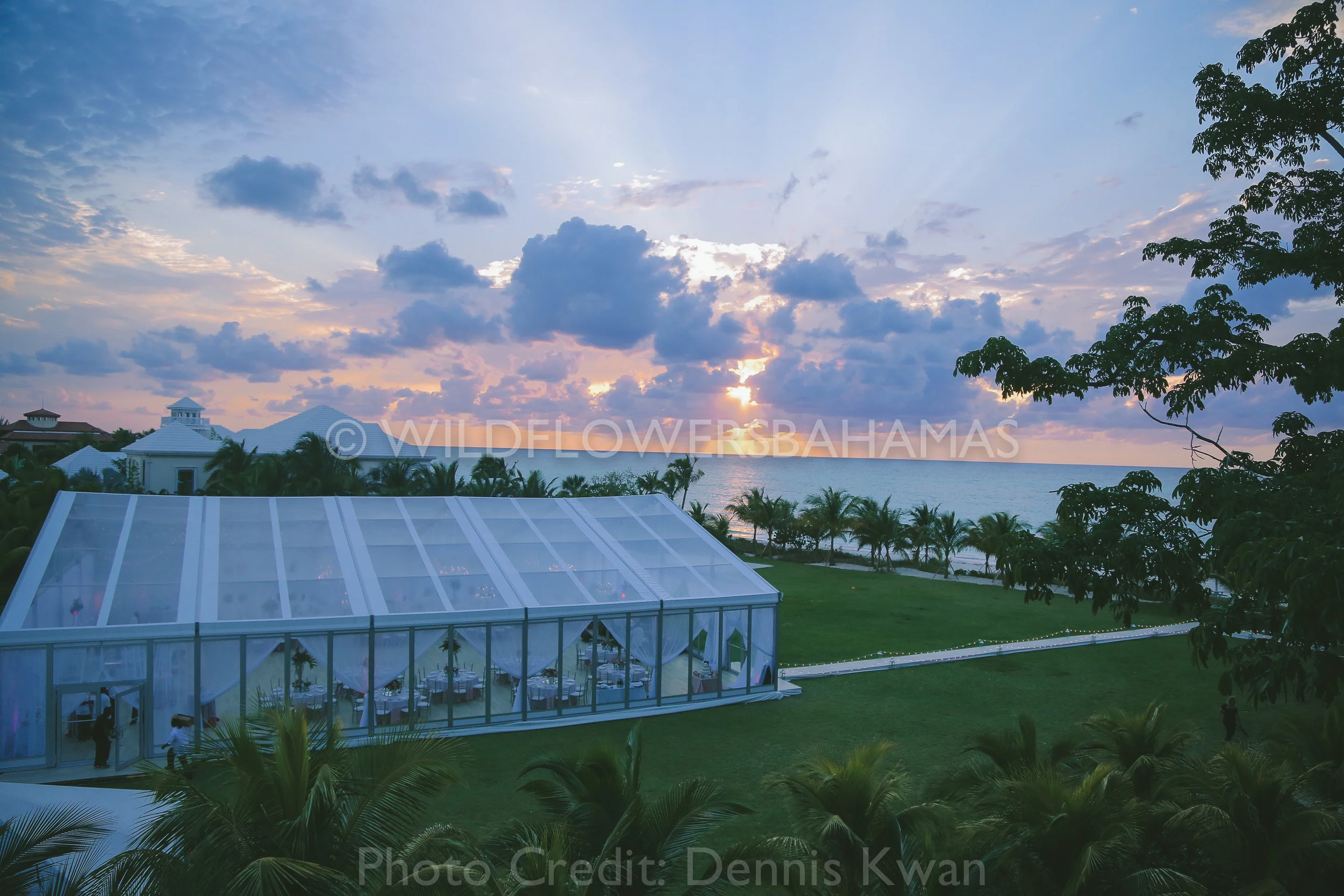Wildflowers-Bahamas-Weddings-Events-001-85.jpg