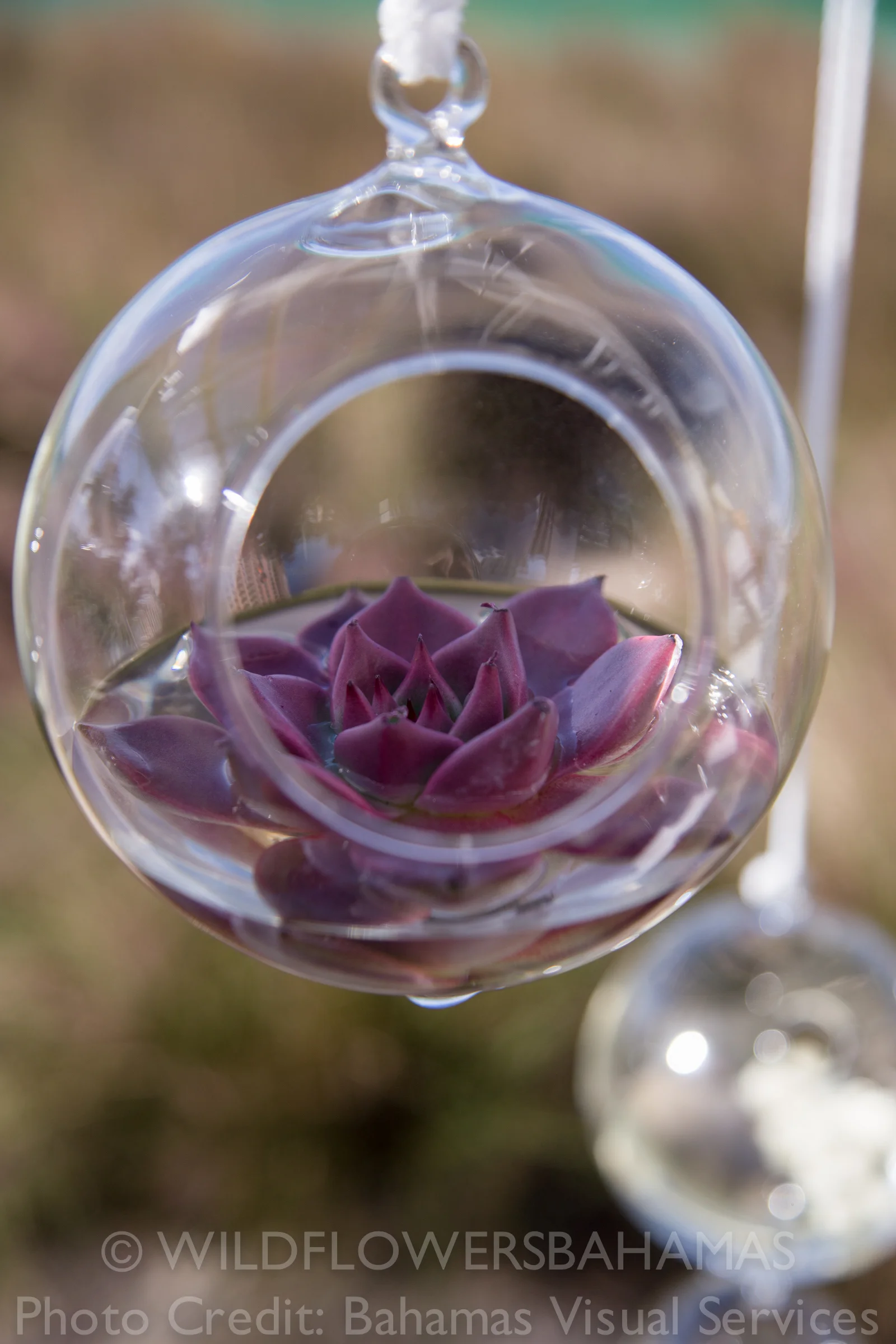 Wildflowers-Events-Bahamas-Wedding-Atlantis-12.jpg