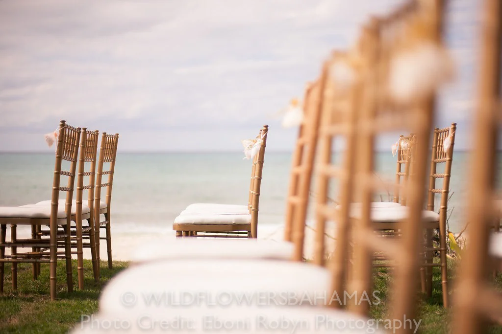 erp_erinjamesmarried-883.jpg