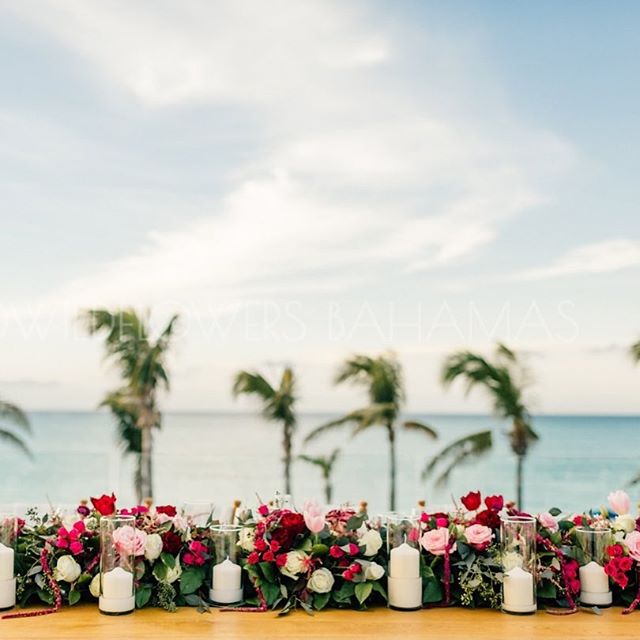 Shades of pink overlooking shades of blue 🌷🌸🌊
*
*
*
#pink #blue #wedding #shadesofpink #shadesofblue #pinkwedding #oceanviews #palmtrees #turksandcaicos