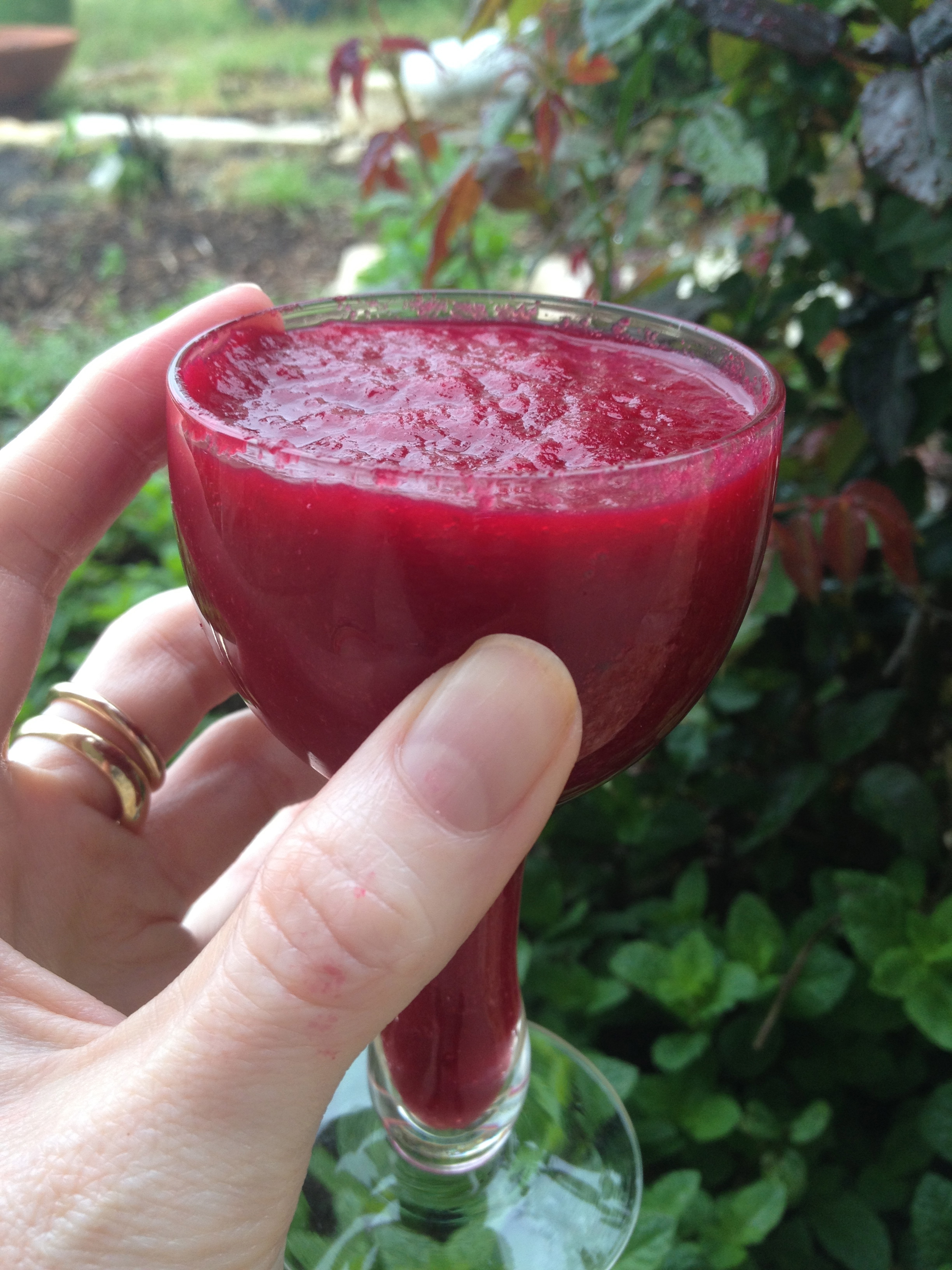 My 4 New Health Rules for Thriving with MS