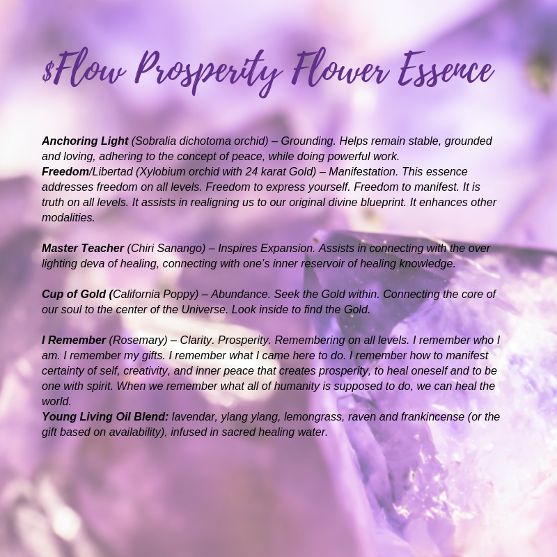 One Heart - Acceptance; Love; Unity. Addresses the merging and balancing of male%2Ffemale energies, including both sides of yourself. It is about oneness, unity, unconditional love. Dance - Grace; Beauty; Brilliance. T copy.png